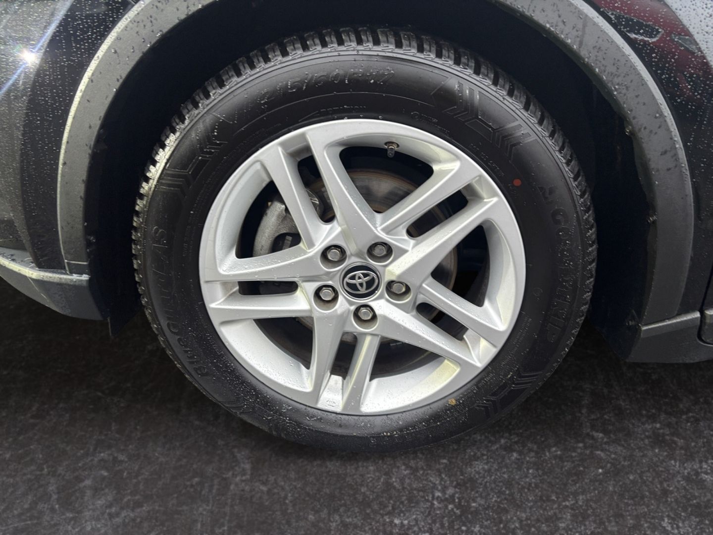 Toyota C-HR 2.0 Hybrid Business-Edition *LED*CAM*CarPla