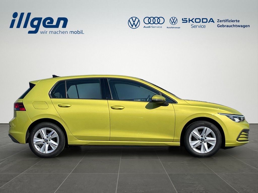 Volkswagen Golf VIII 1.5 TSI Life - Samsaru's Car Outlet