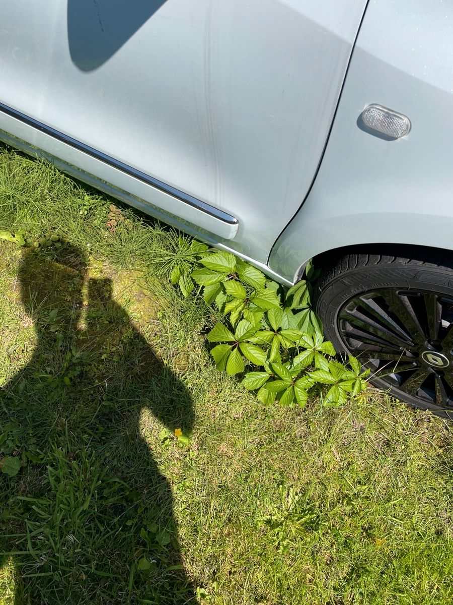 Dacia Duster II Extreme - Samsaru's Car Outlet
