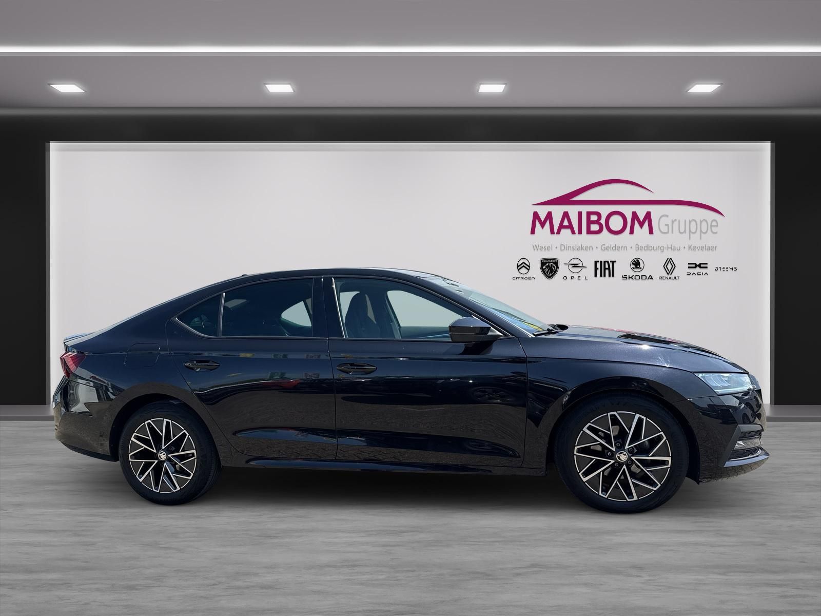 Skoda Octavia First Edition KEYLESS LED ACC LENKHZ PDC