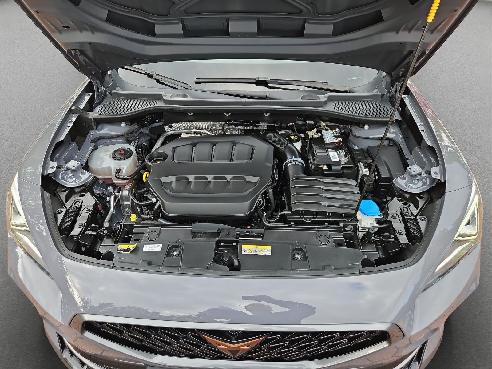 Cupra Formentor VZ 2.0 TSI BEATS*AHK*EL.SITZE*EXCLUSIV