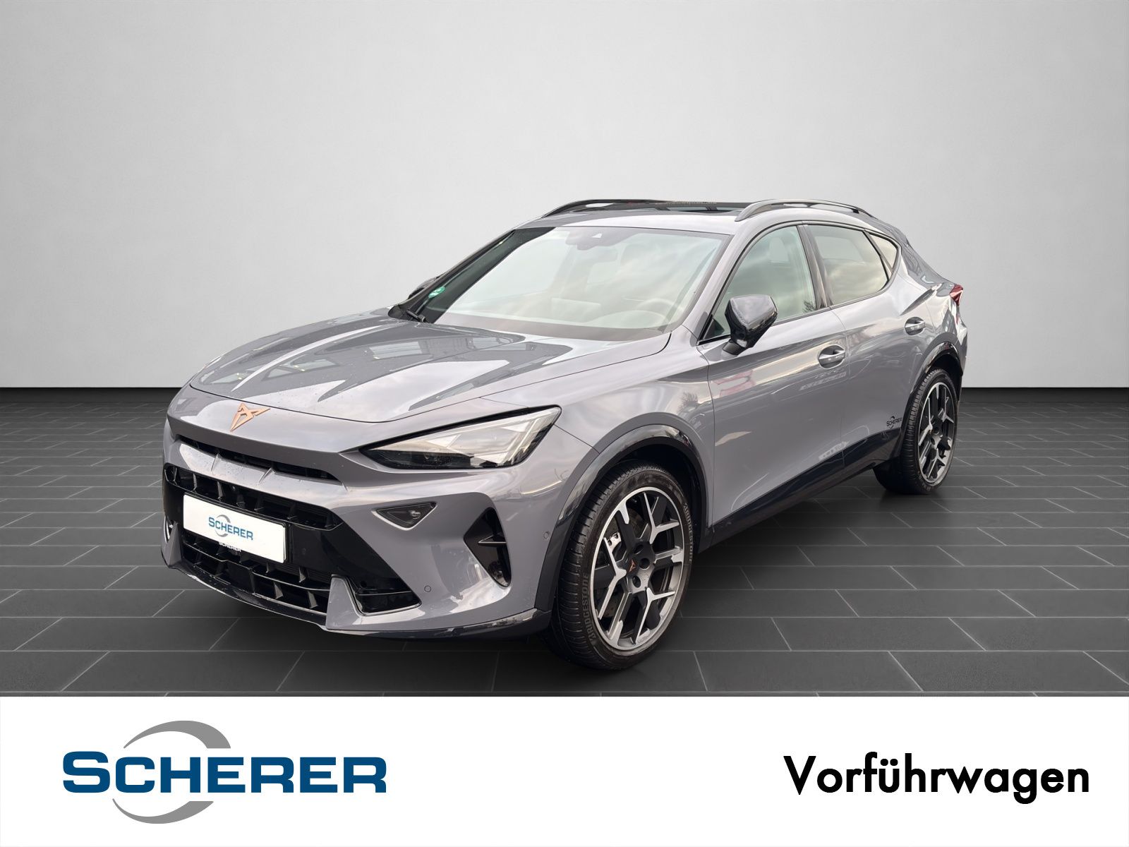 Cupra Formentor VZ 2.0 TSI DSG Sennheiser AHK Matrix L