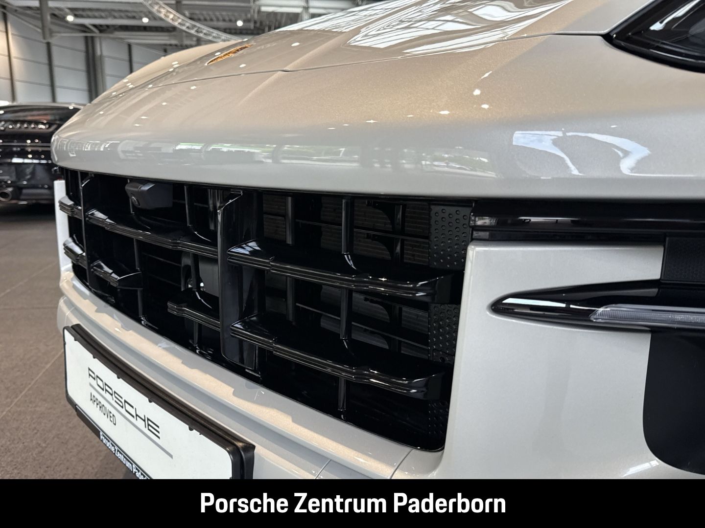 Porsche Cayenne S E-Hybrid Sportabgasanlage Panoramadach