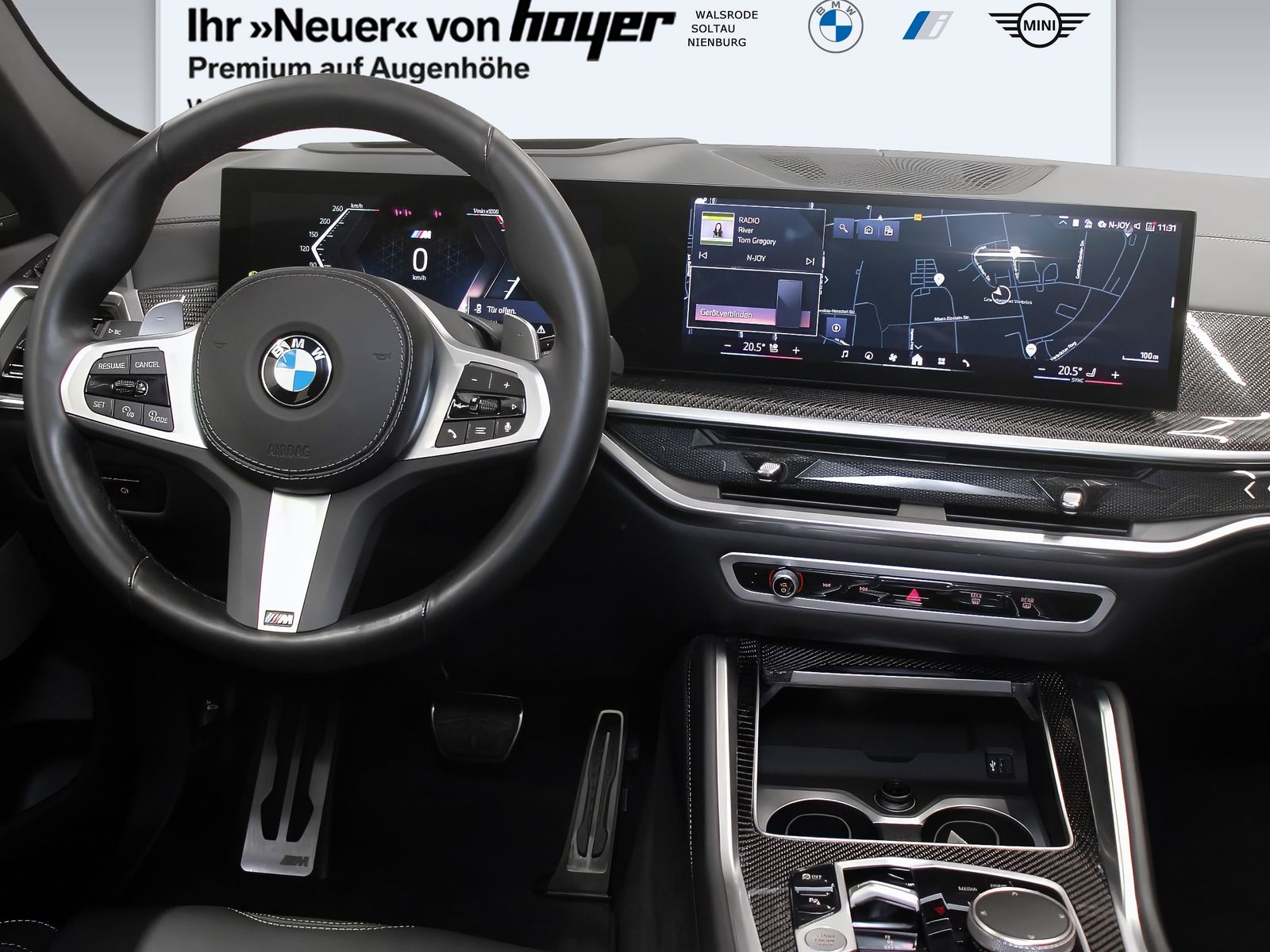 BMW X6 xDrive40d M Sport DAB LED Standhzg. AHK