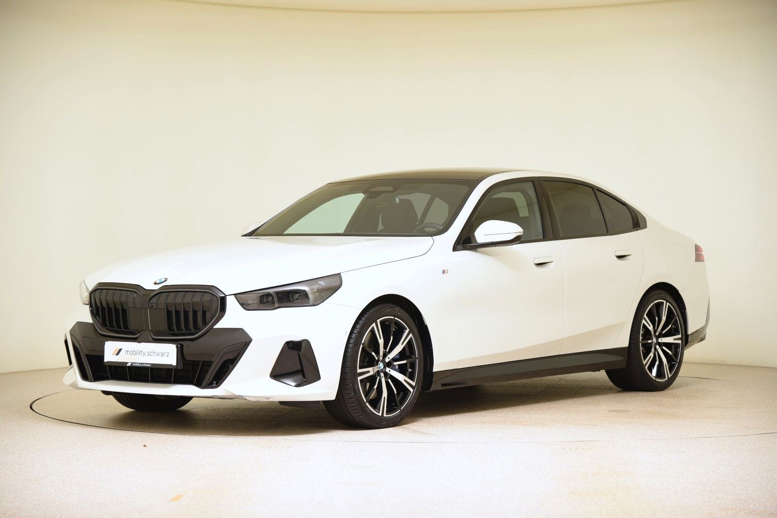 BMW 540d xDrive M Sport Pro ACC LED StandHzg Pano