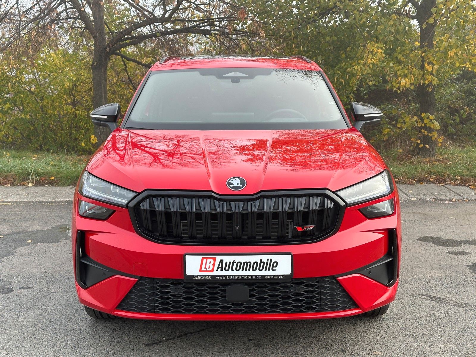 Skoda 2.0TSi RS 4x4 Leder PDACH STHZ DCC+ eHK LM20"AHK