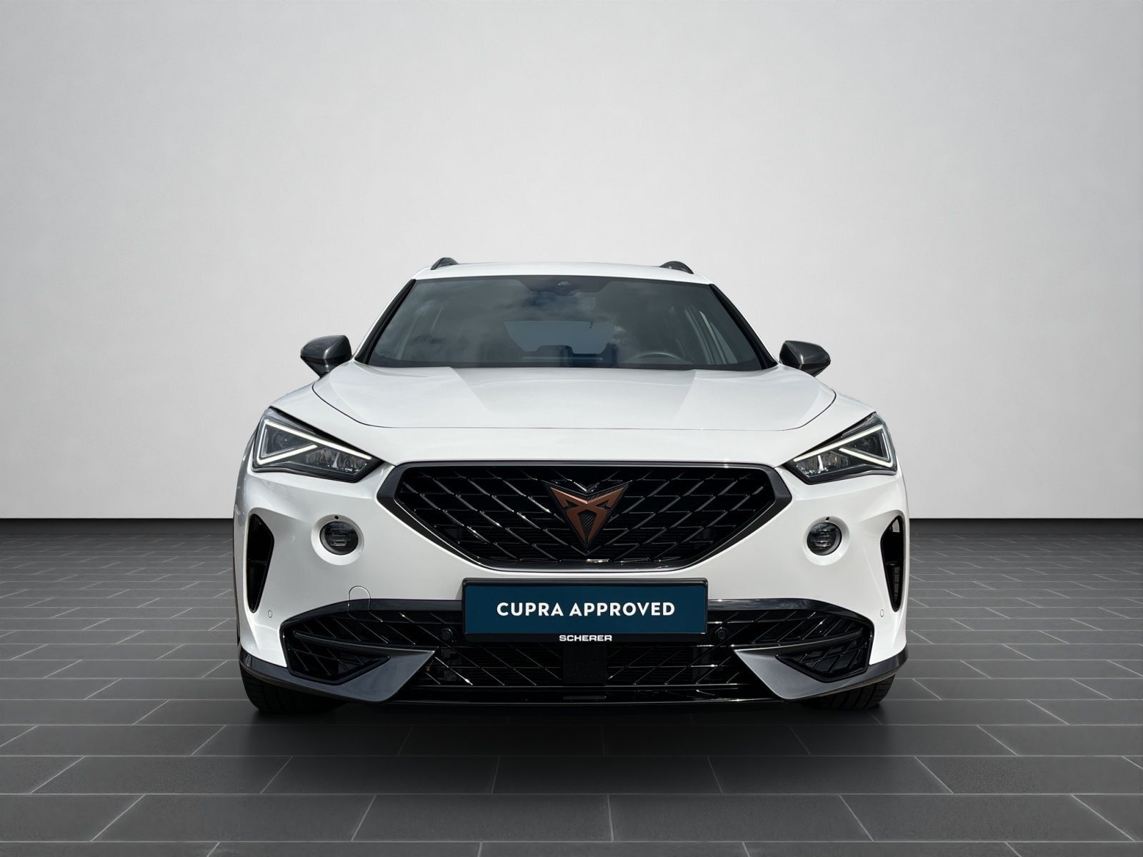 Cupra Formentor VZ 2.0 TSI DSG 4Drive LED CARPLAY SHZ