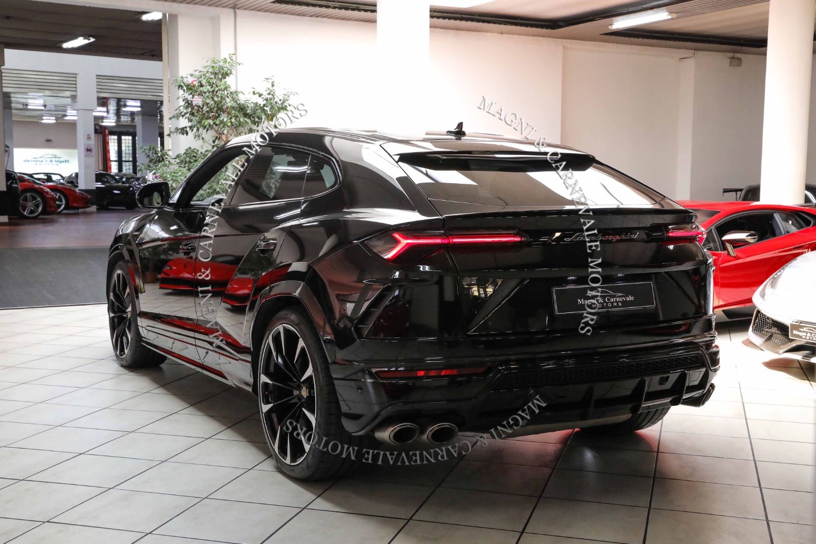 Lamborghini Urus - Samsaru's Car Outlet