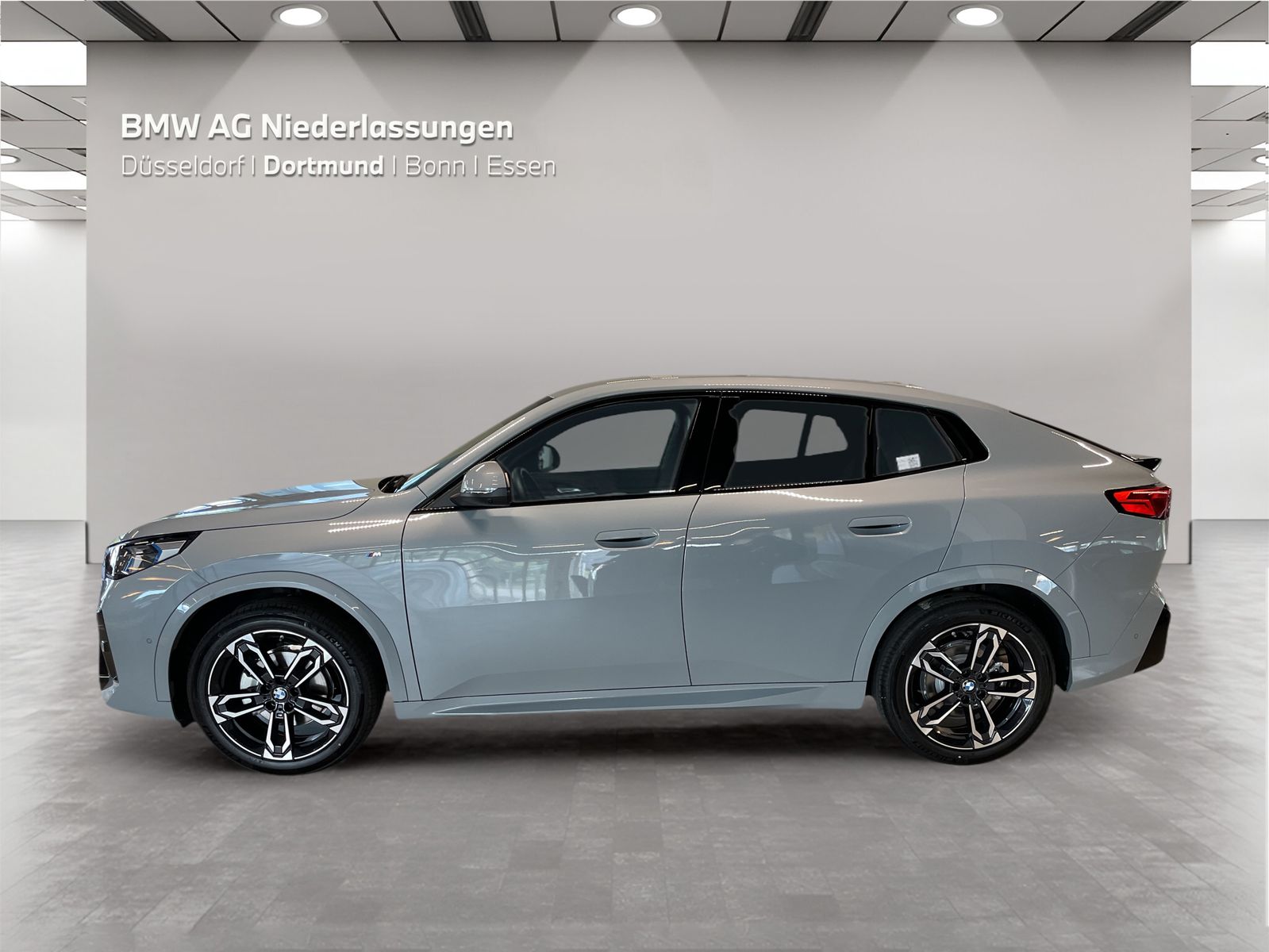 BMW X2 xDrive20d M Sport AHK Driv.Assist+ Head-Up