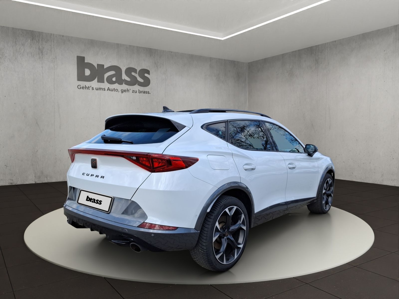 Cupra Formentor 2.0 TSI VZ AHK Panorama Soundsystem