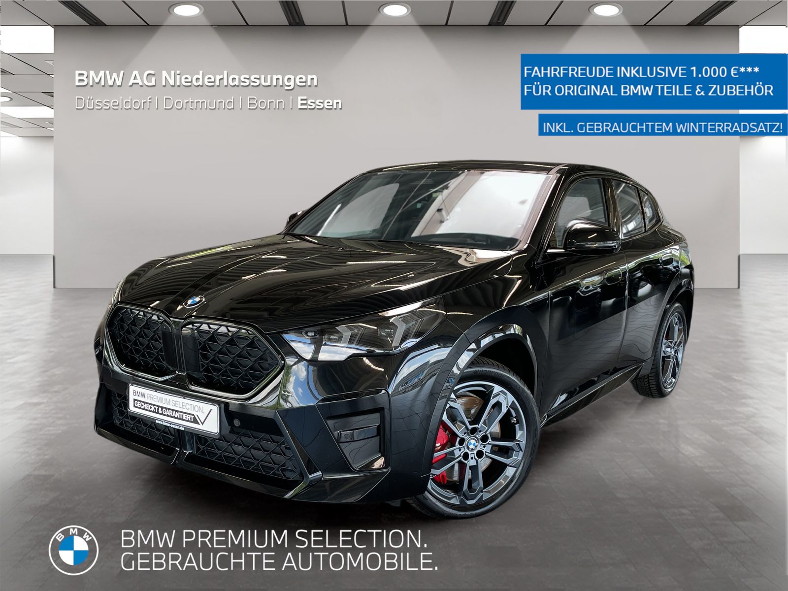 BMW X2 xDrive20d M Sport AHK Driv.Assist+ Harman/K