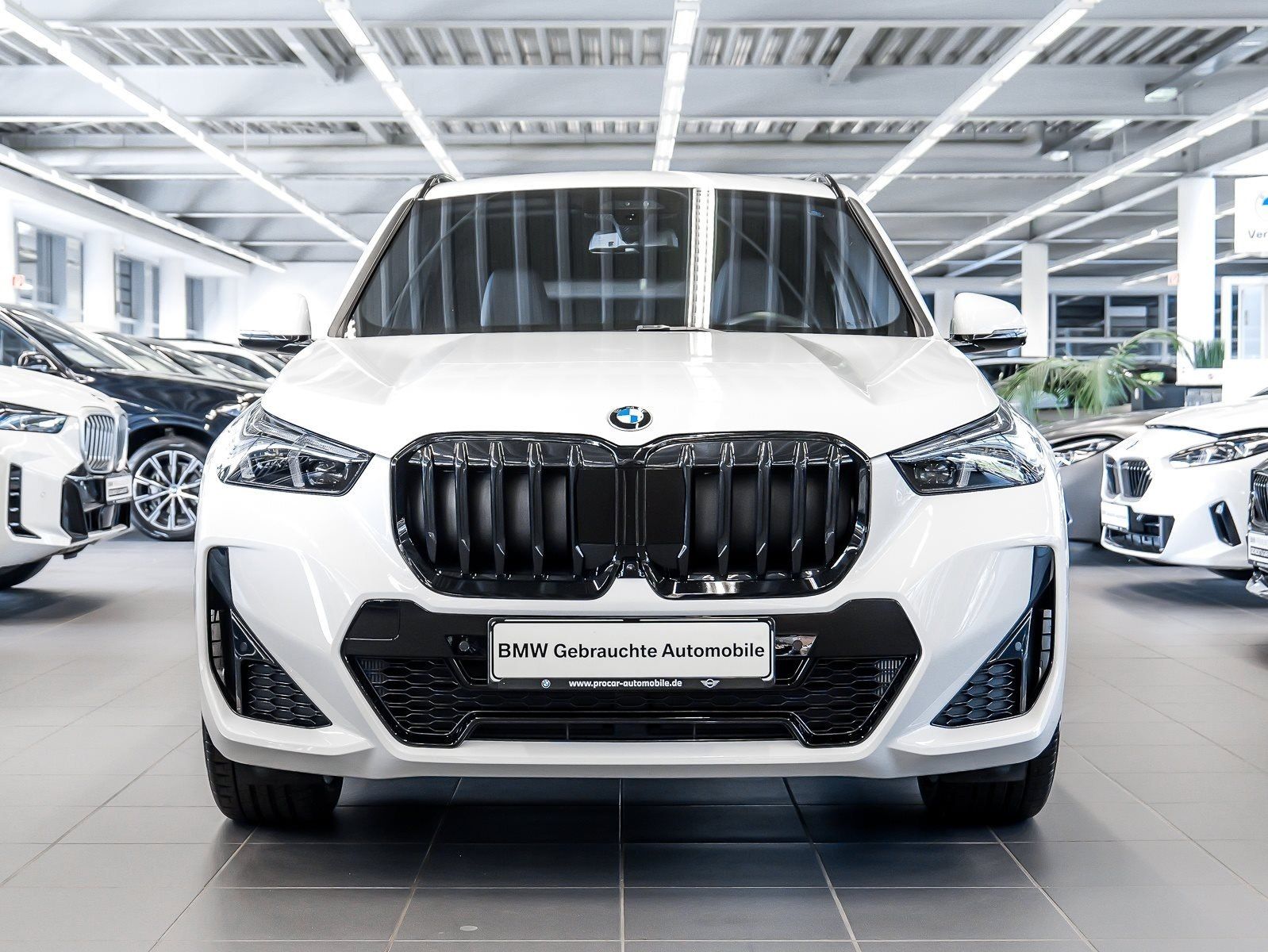 BMW X1 xDrive20d M Sport HUD ACC AHK RFK NAVI LED