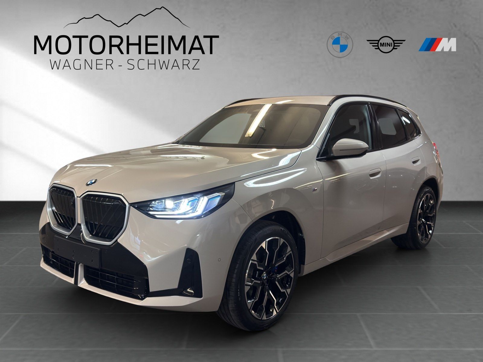BMW X3 40d xDrive M Sport HUD 360° ACC AHK H/K