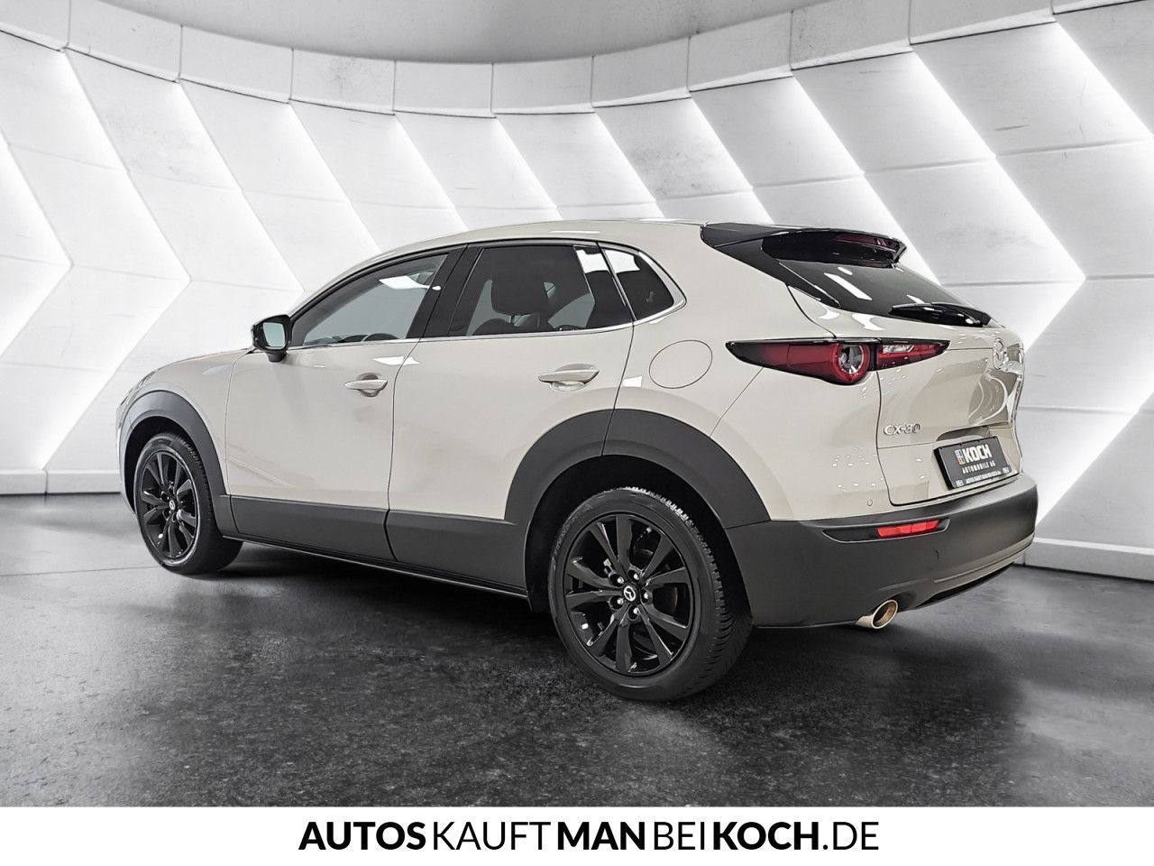 Mazda CX-30 2.0 SKYACTIV-X M Hy. Homura AT Navi ACC