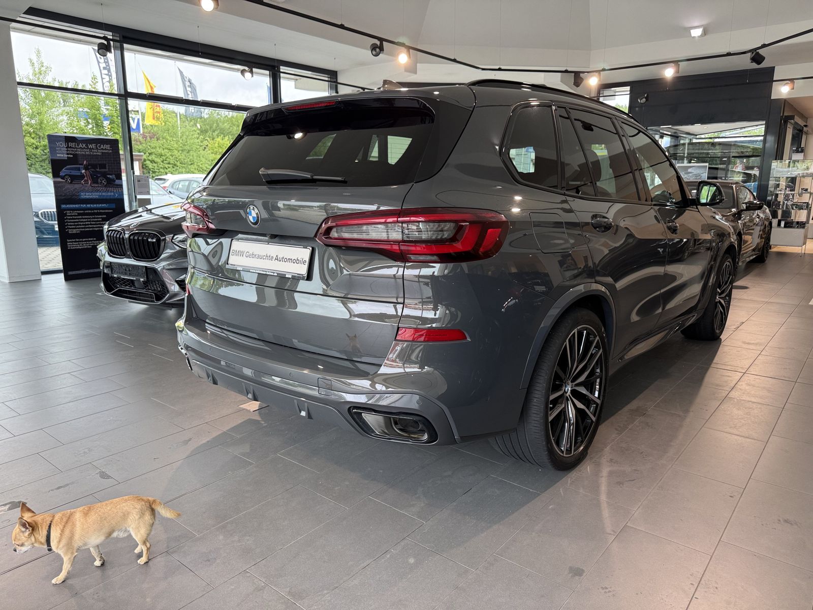 BMW X5 xDrive30d M Sport M Sportpaket Head-Up HiFi