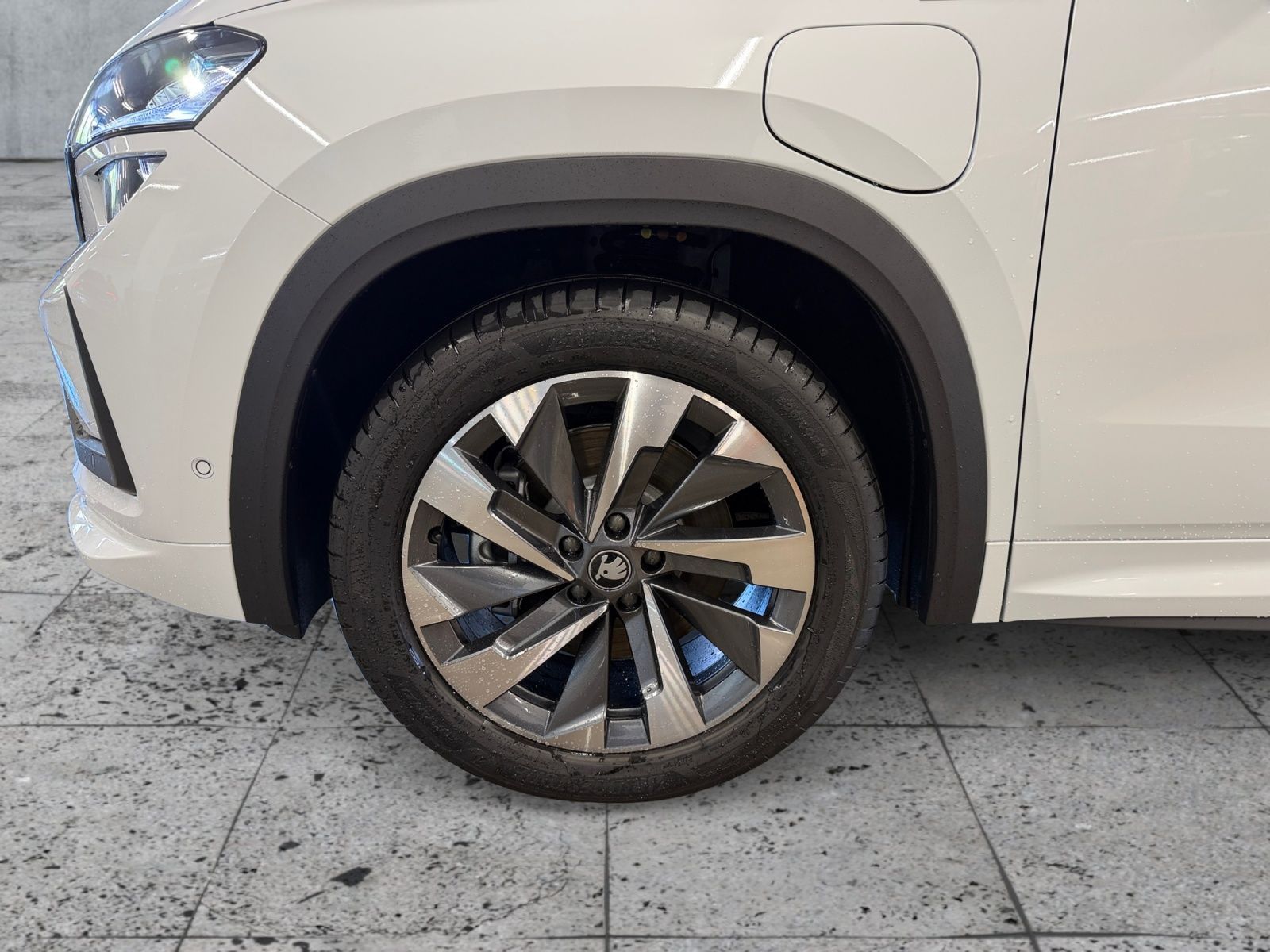 Skoda Kodiaq 1,5 TSI iV SportLine 360° AHK DCC PDC RFK