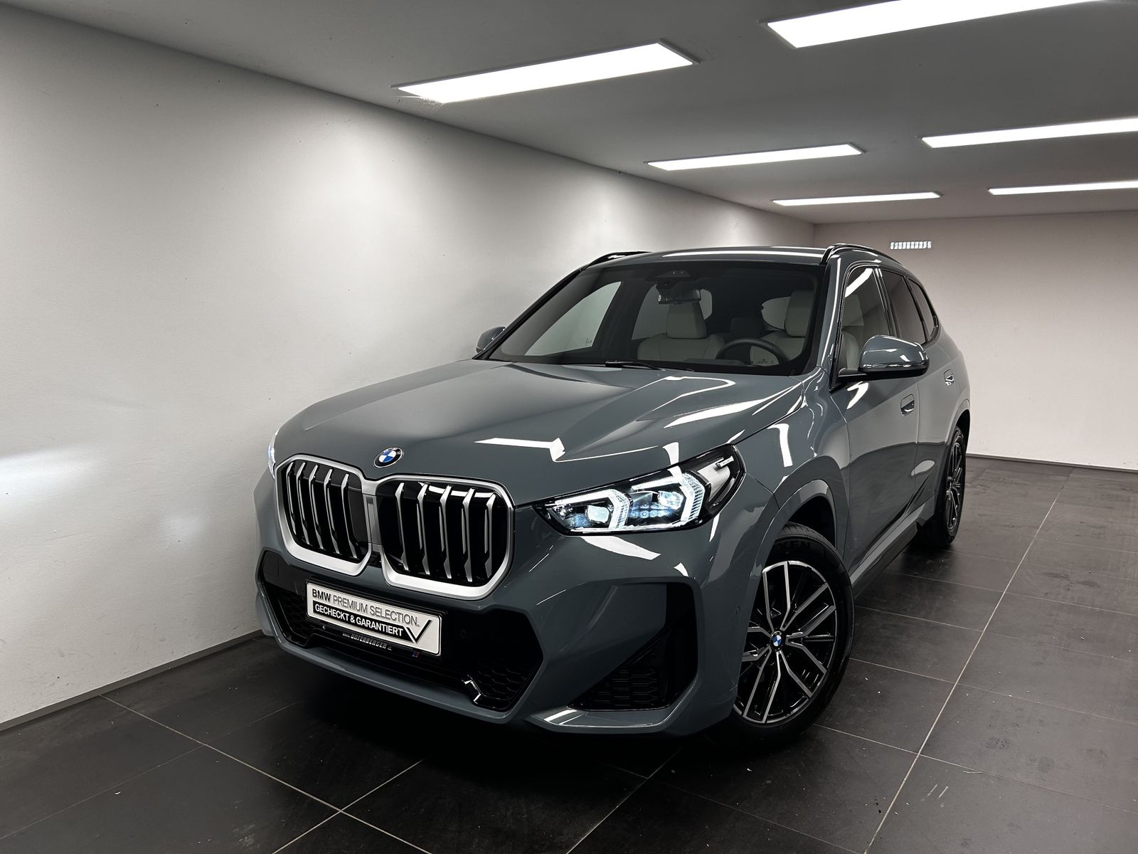 BMW X1 xDrive20d M Sportpaket Harman/Kardon Head-Up