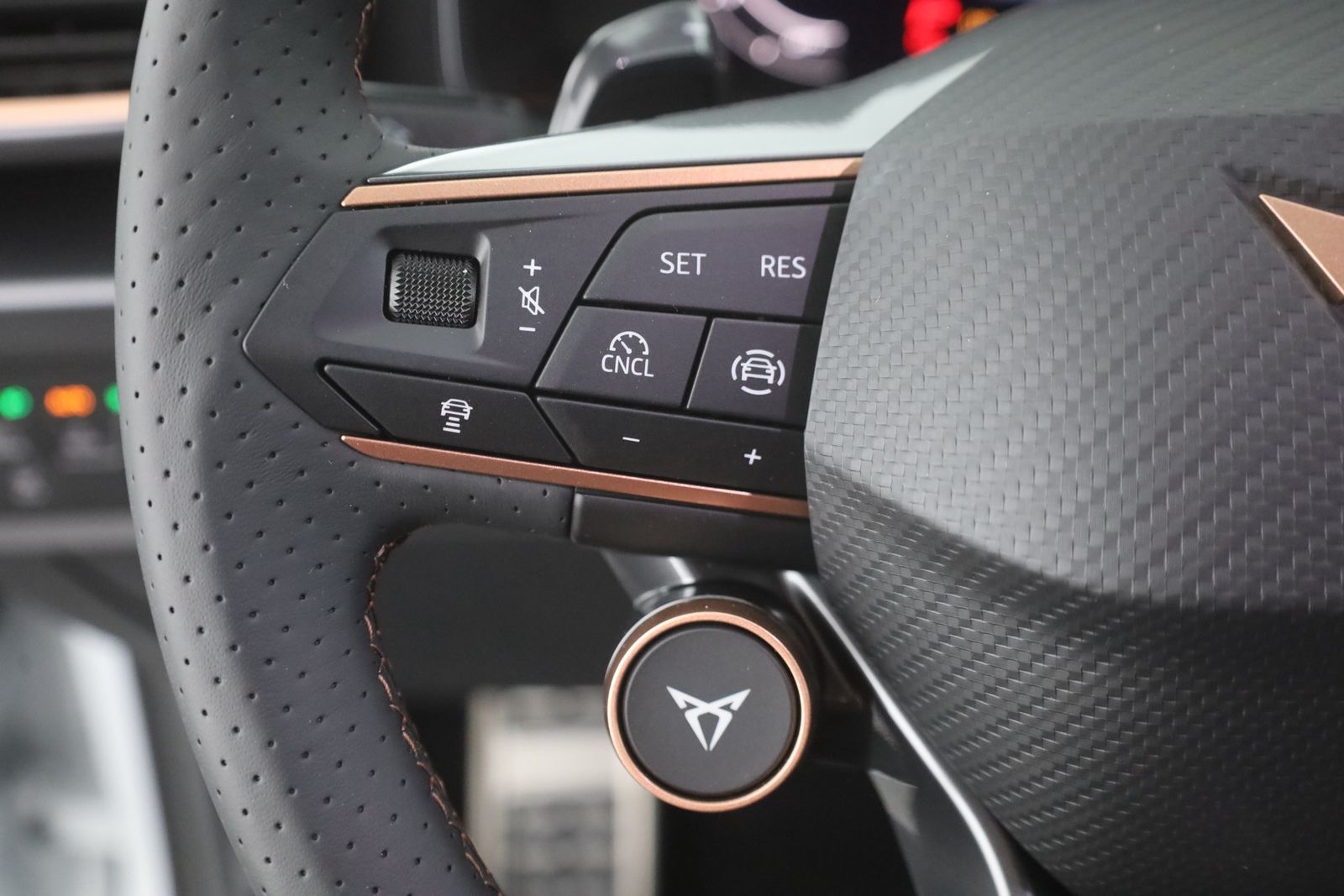Cupra Formentor VZ 2.0 TSI DSG 4Drive - Samsaru's Car Outlet