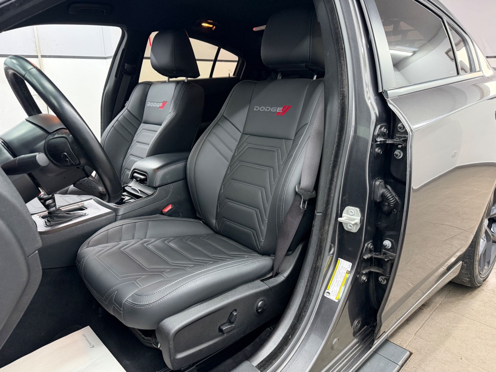 Dodge Charger 3.6 SXT Blacktop Last Call/Alpine/Carpla