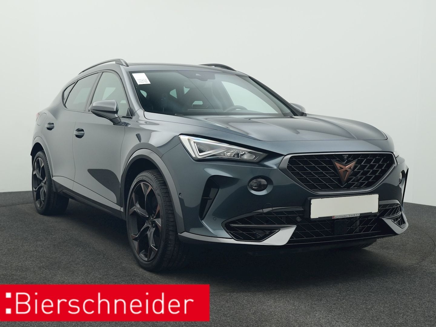 Cupra Formentor 2.0 TSI DSG 4Dr. VZ PANO AHK 360 eHECK