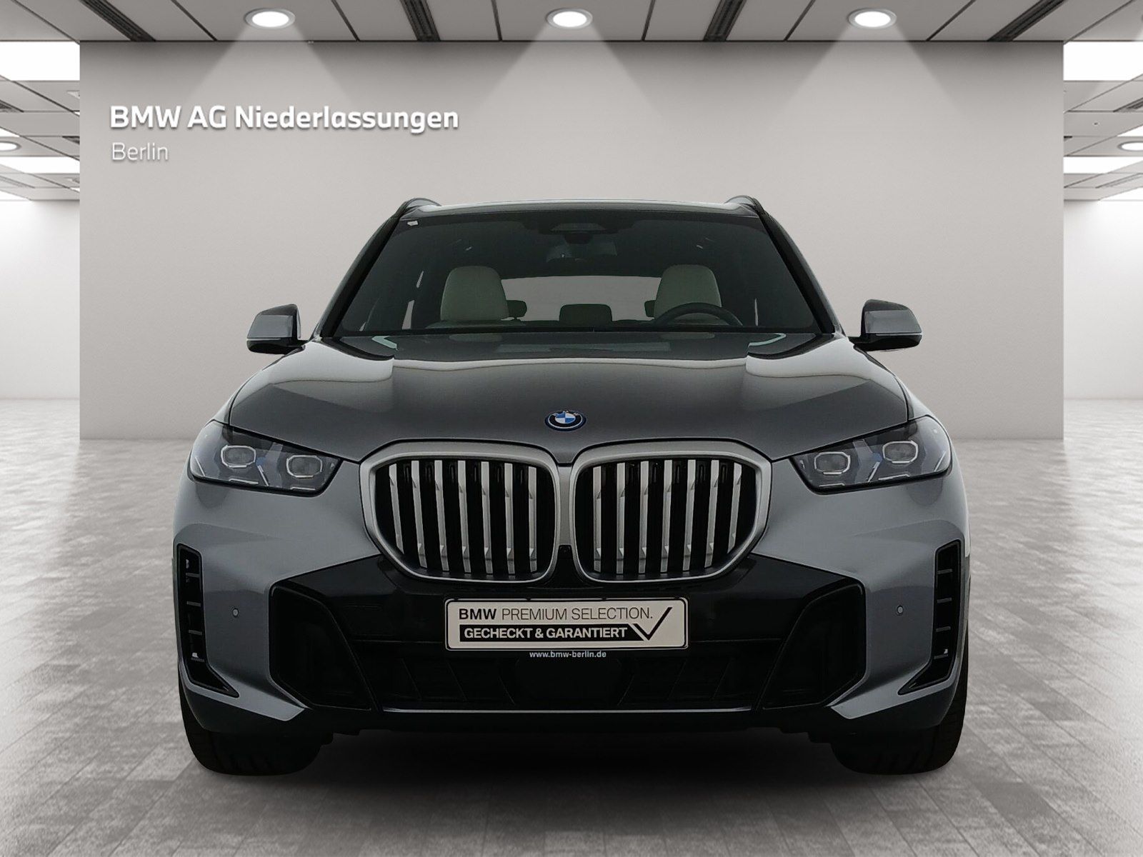 BMW X5 xDrive50e M Sport KomfSitz Pano DAPr PAPr AHK