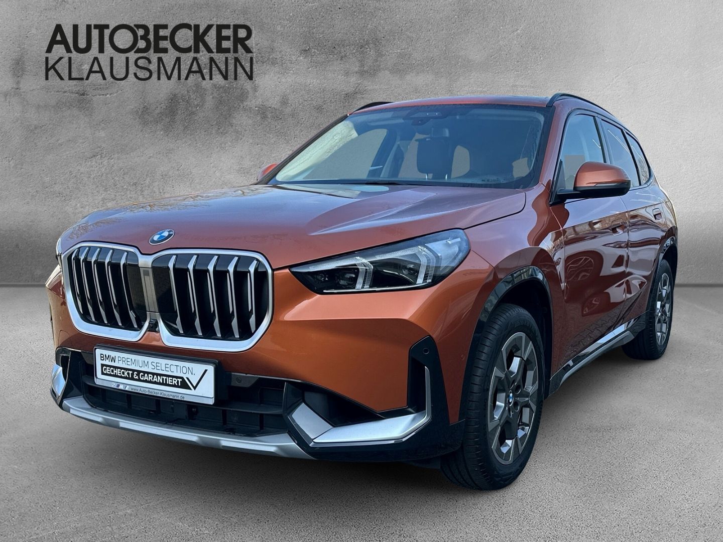 BMW X1 xDrive23i xLINE 18''LC PROF AHK HuD SPORTSITZ