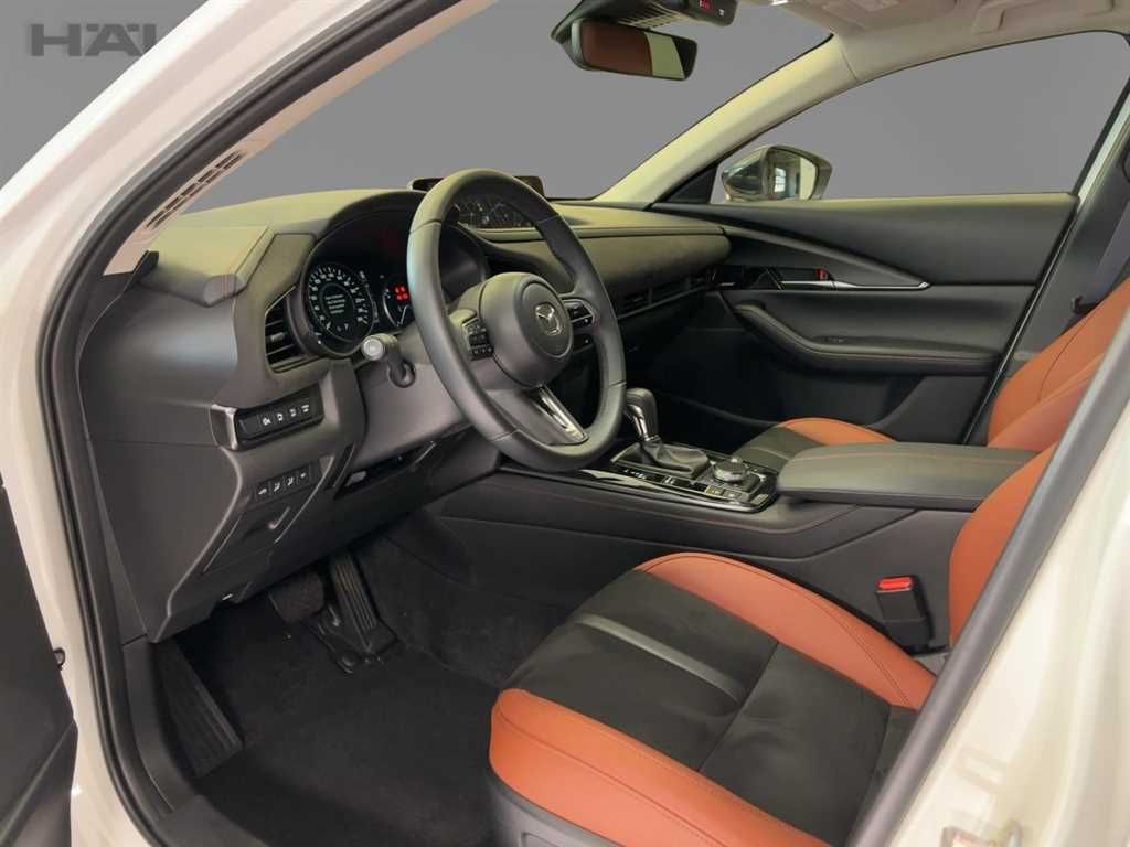 Mazda CX-30 2.0 Nagisa Automatik LED Navi BOSE Kamera