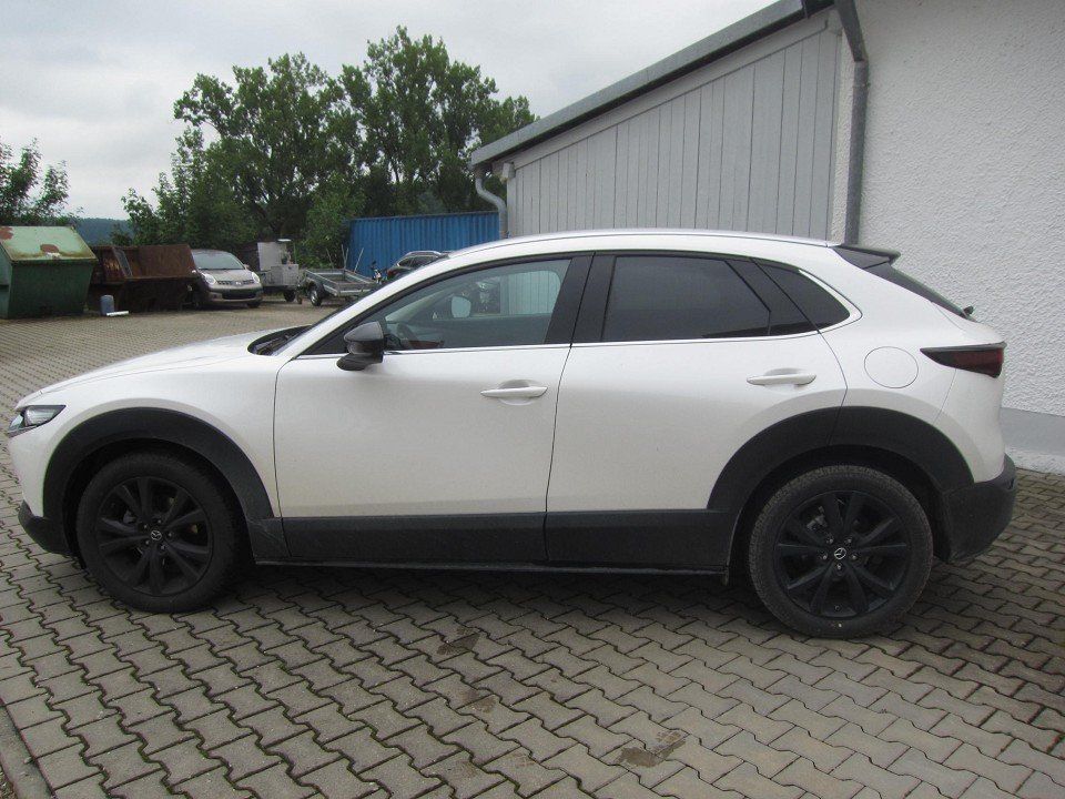 Mazda CX-30 2.5L e-SKYACTIV G 140ps Homura / Head-Up D