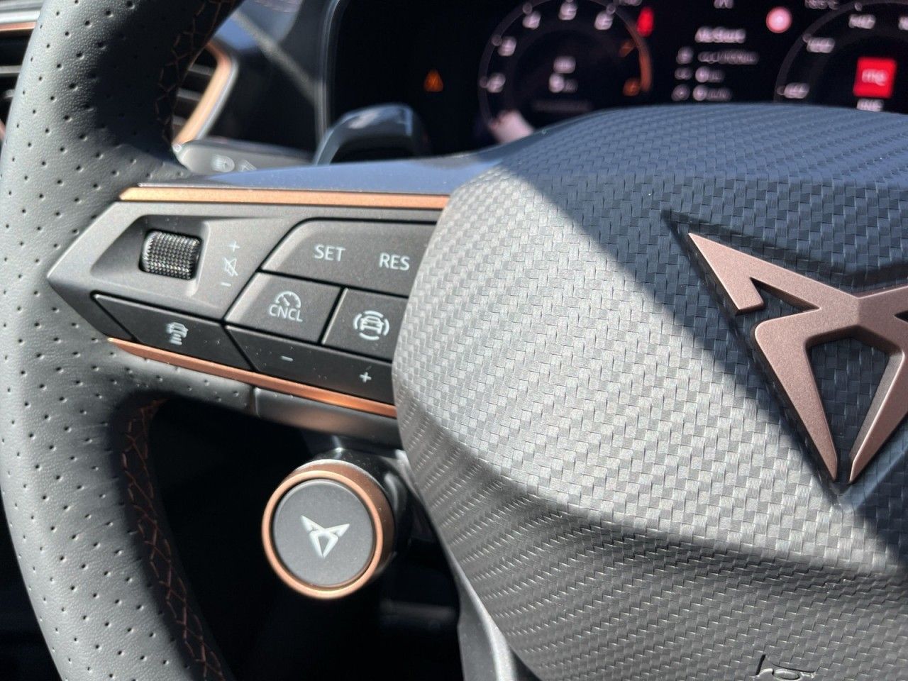 Cupra FORMENTOR VZ 2.0 TSI+AHK+MATRIX+360+ACC Klima