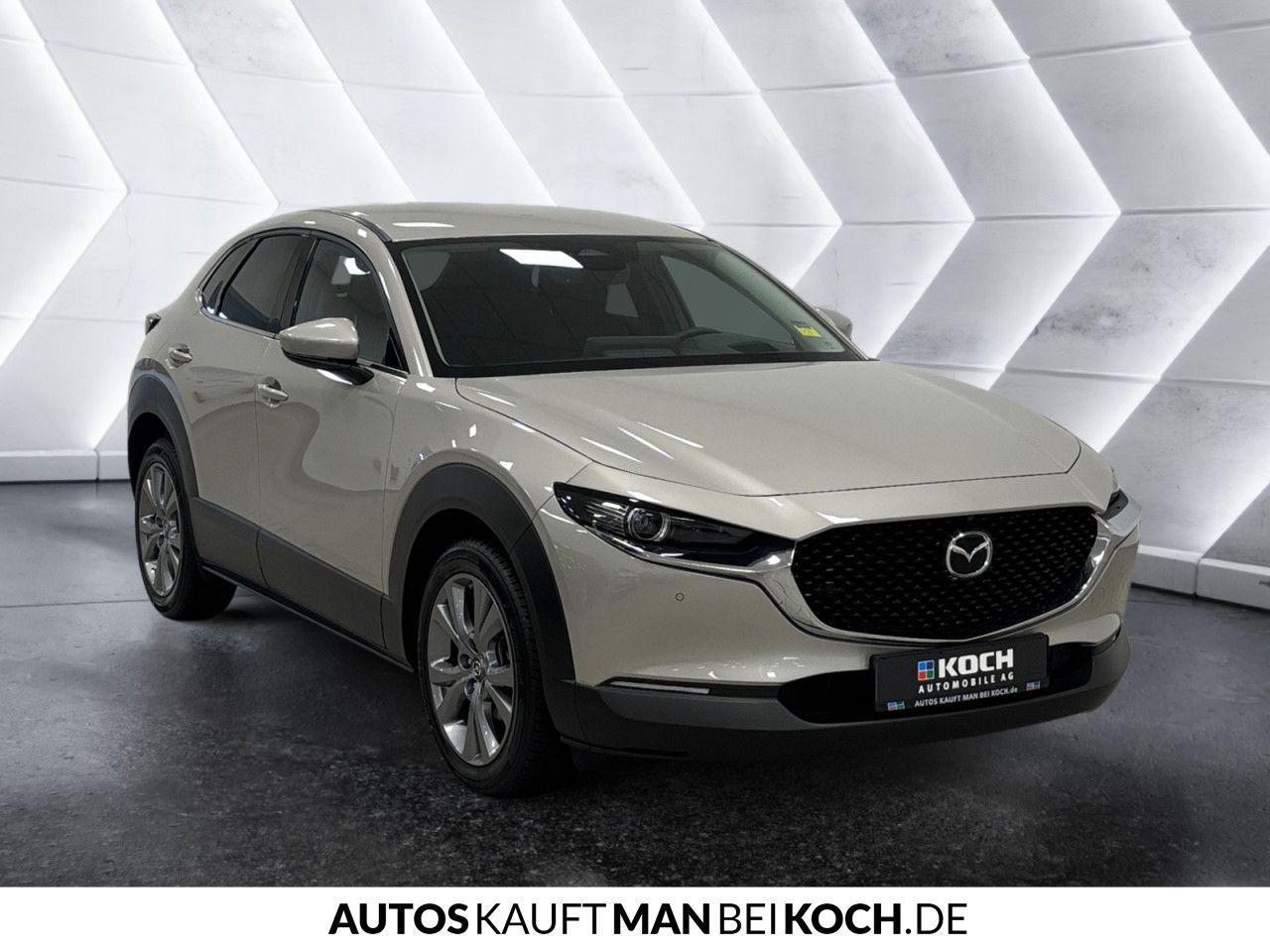 Mazda CX-30 2.0 SKYACTIV-G M Hy. Exclusive AT Navi ACC