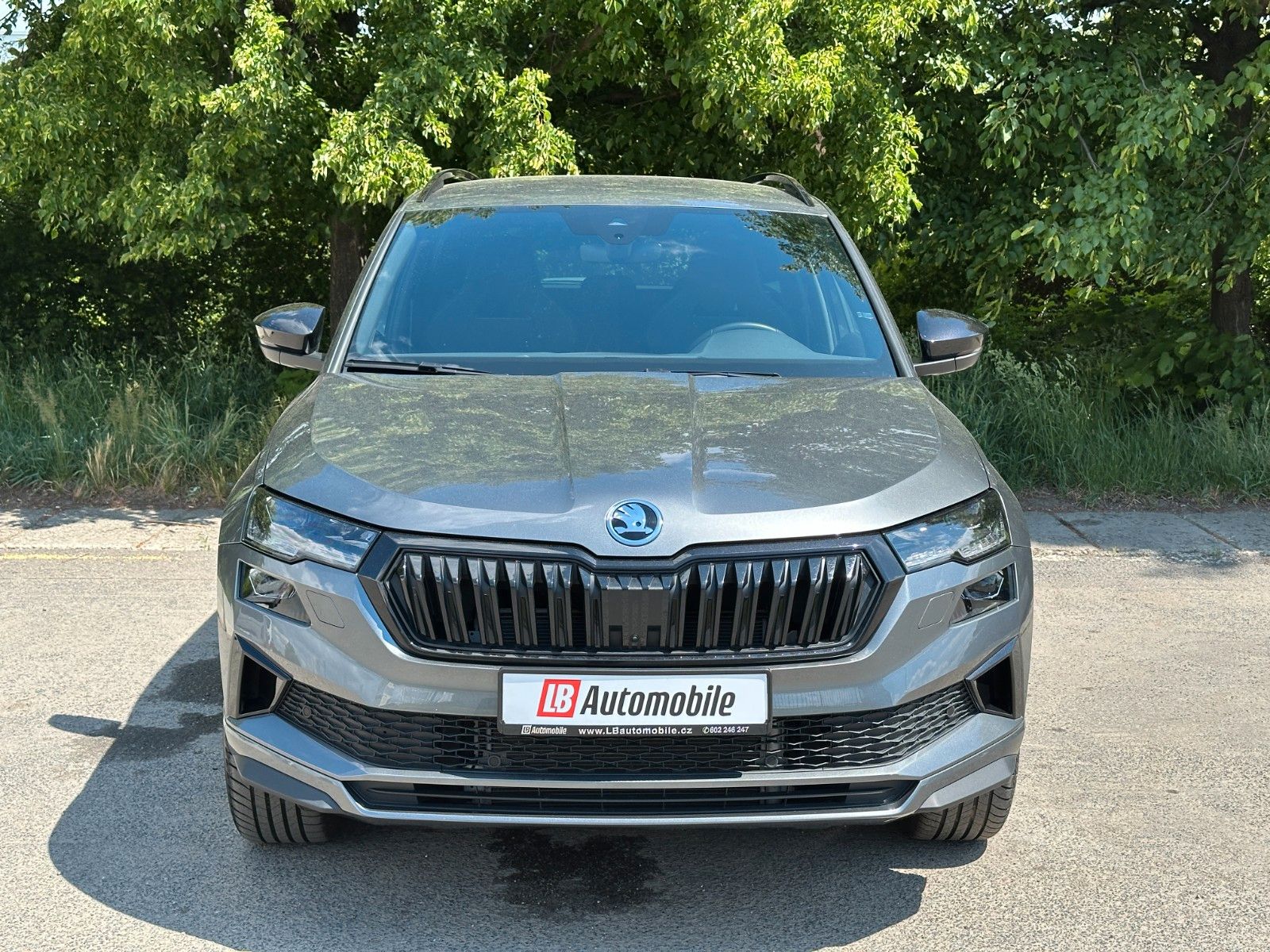 Skoda 2.0TDi 4x4 DSG Sportline AHK Side Assist LM19"