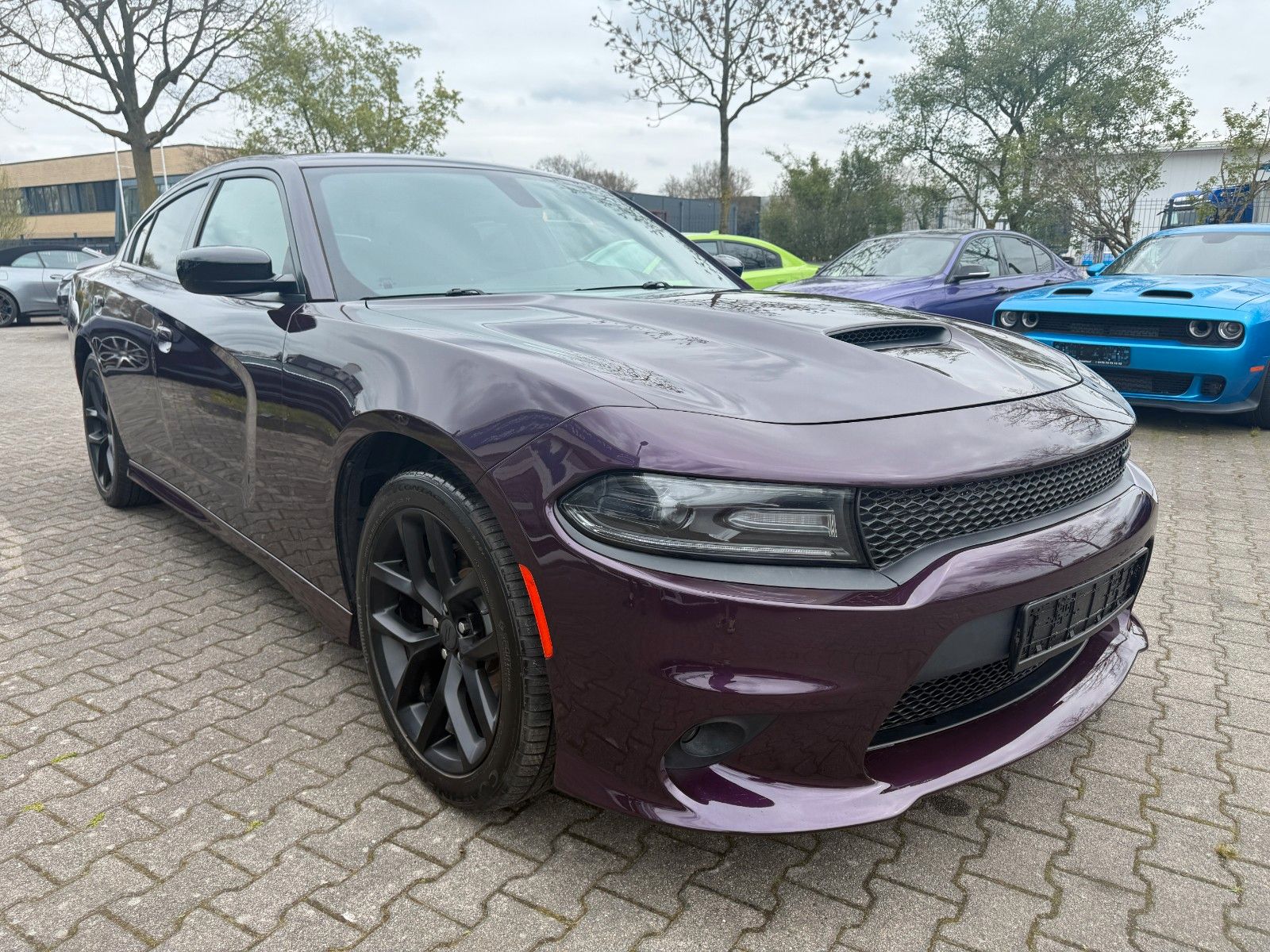 Dodge Lederausstattung,R20,ALPINE