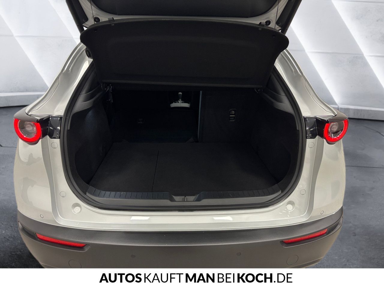 Mazda CX-30 2.5 SKYACTIV-G M Hy. Homura AT Navi ACC