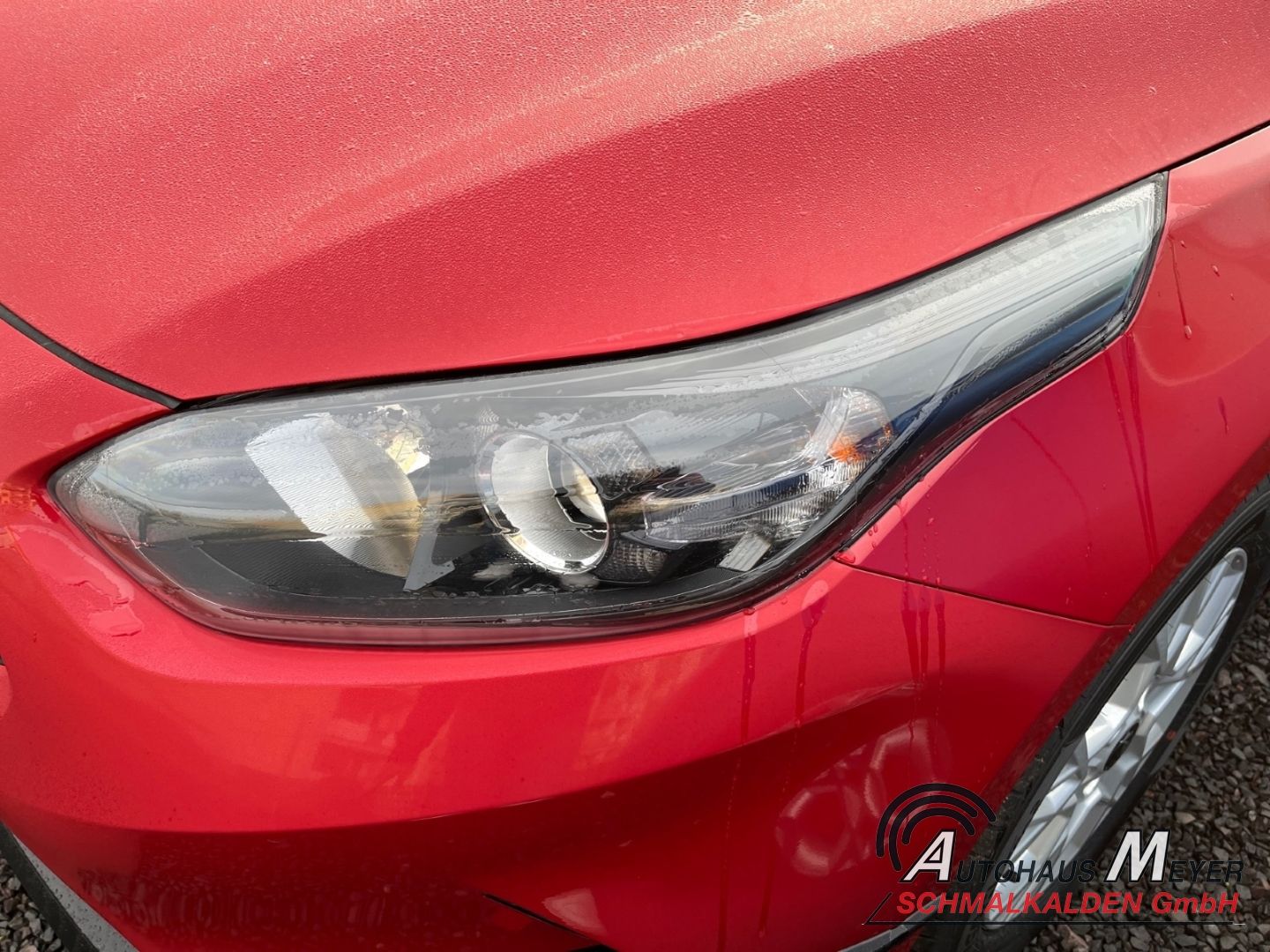 Kia Ceed 1.5T-GDI 140 Vision+ - Samsaru's Car Outlet