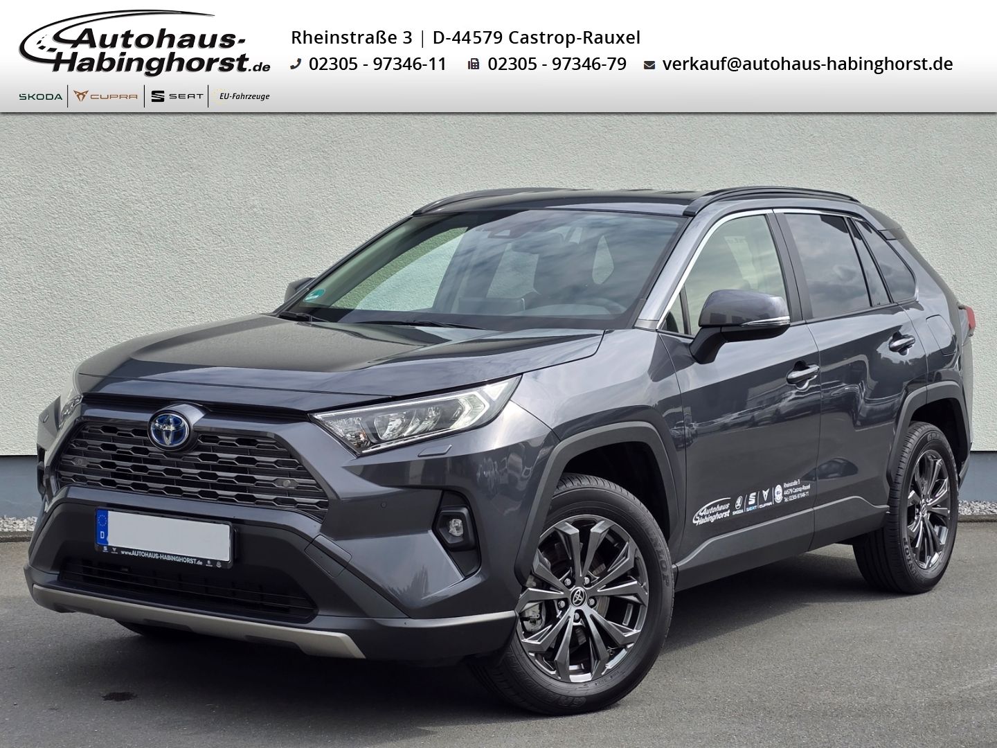 Toyota RAV 4 2.5 Hybrid CVT 4x4 Active Navi LED PDC e.H