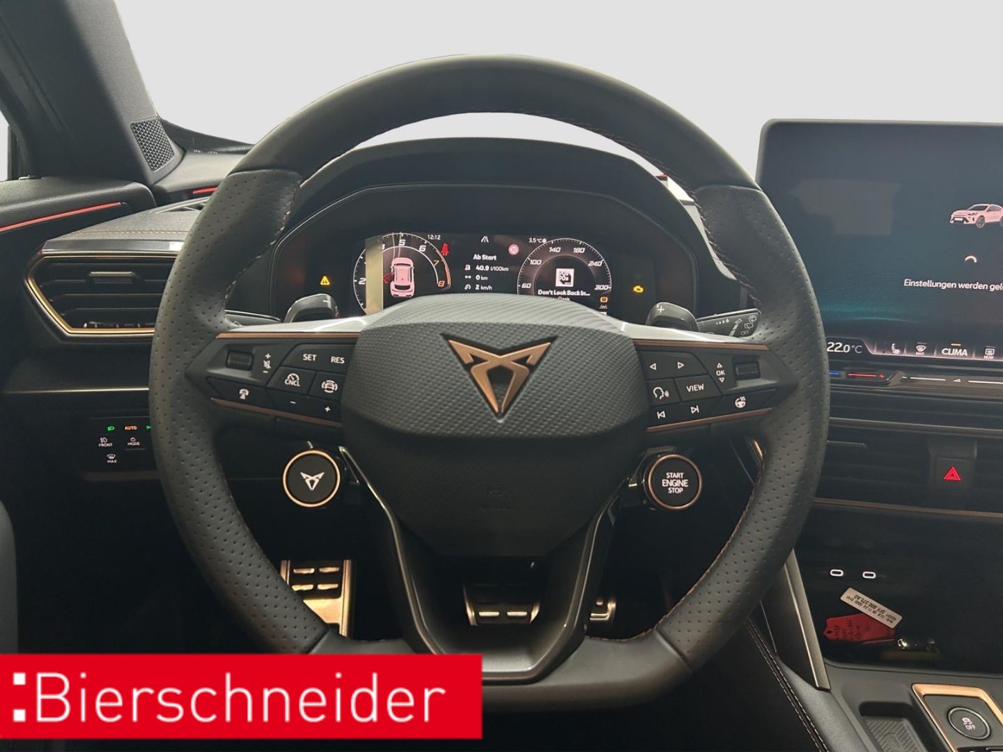 Cupra Formentor 2.0 TSI DSG 4Drive VZ ab mtl. 209,- AH