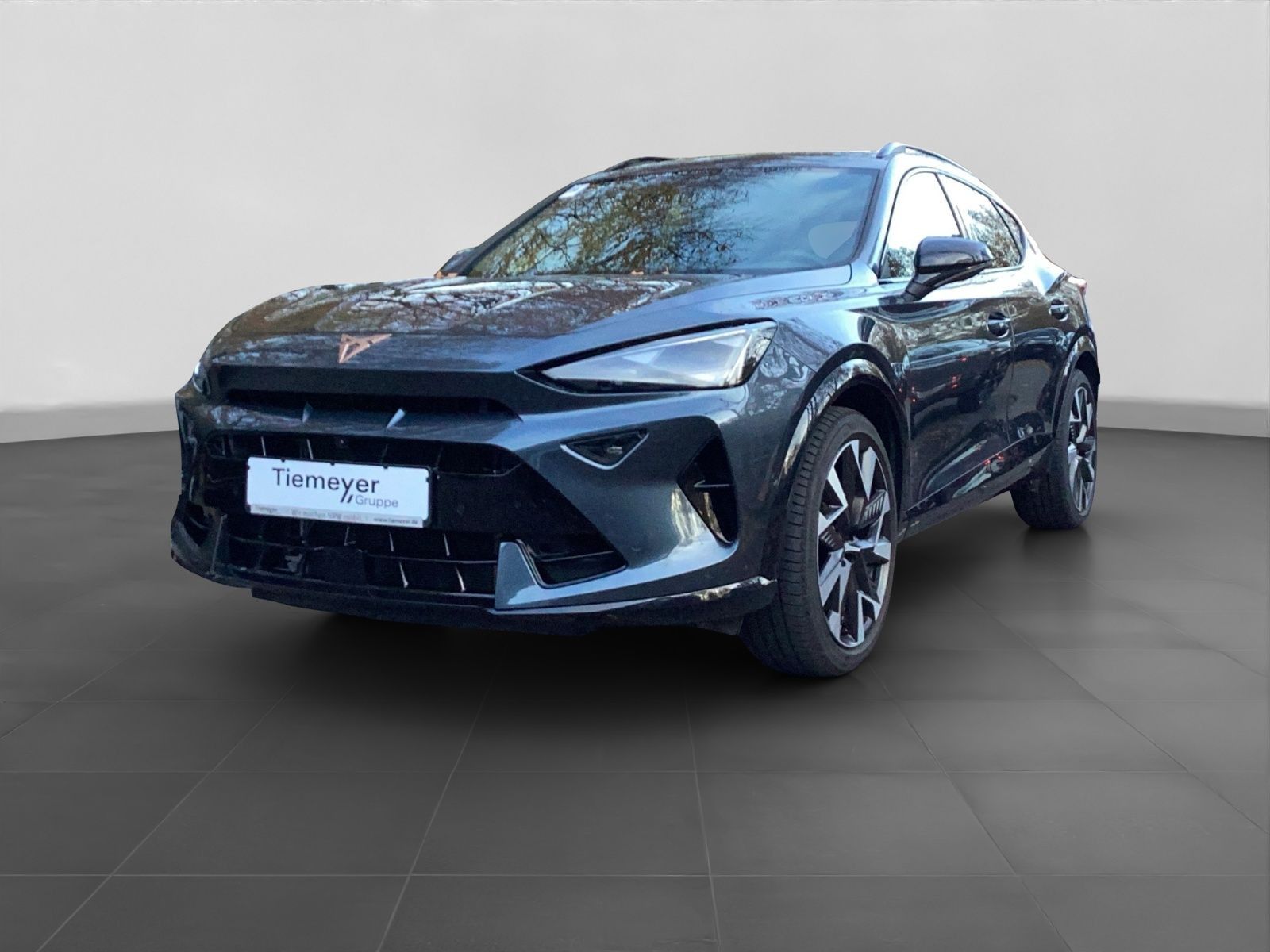 Cupra Formentor VZ 2.0 TSI PANO AHK SENNHEISER MATRIX