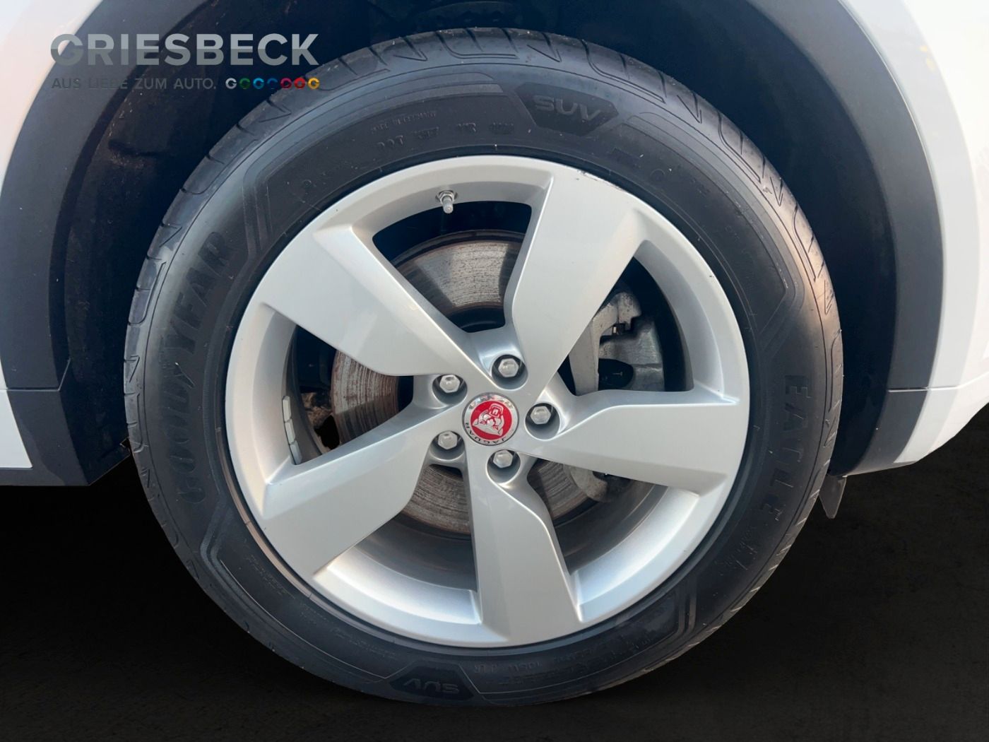 Jaguar E-PACE P250 R-Dynamic LM LED elSitz PDC el.Heck