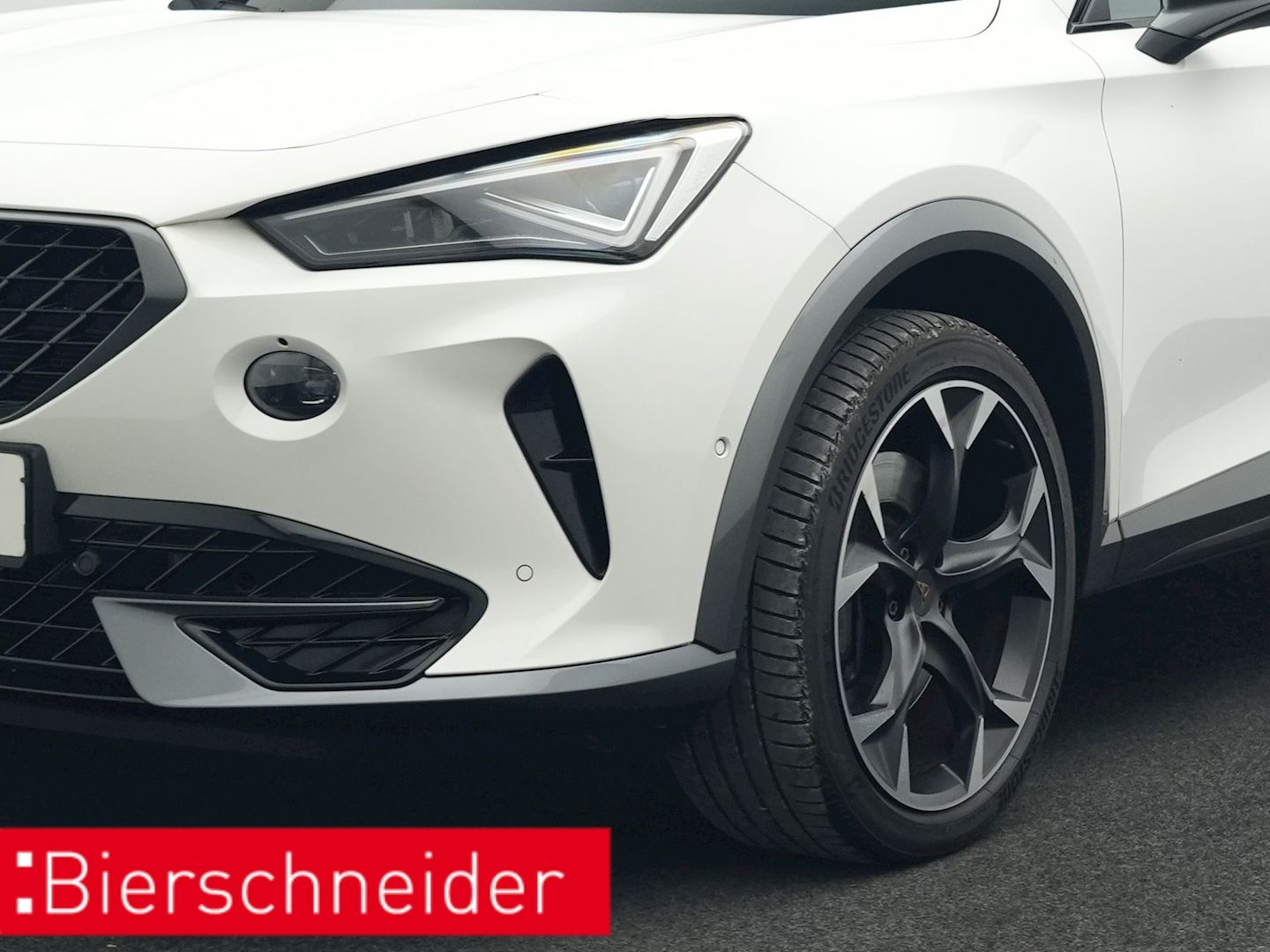 Cupra Formentor 2.0 TSI DSG 4Dr. VZ AHK BEATS NAVI LED