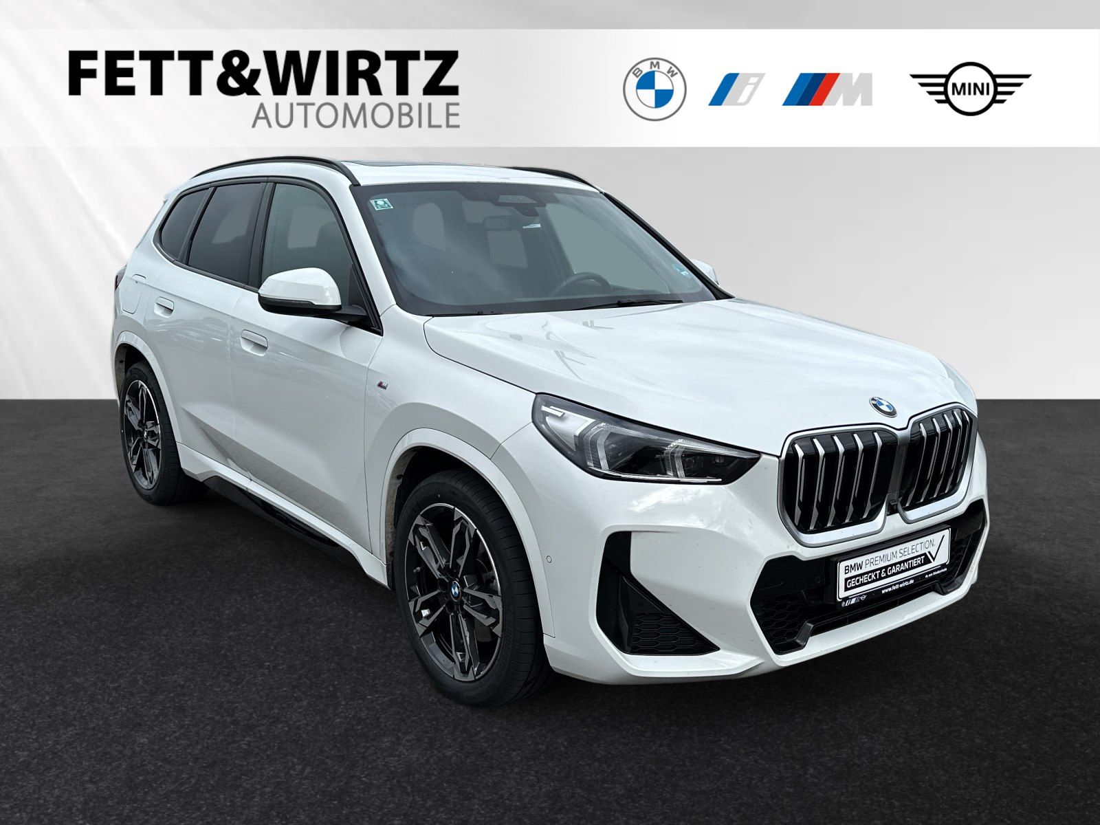 BMW X1 xDrive23d M Sport|Pano|Head-Up|DAProf.|19"LMR