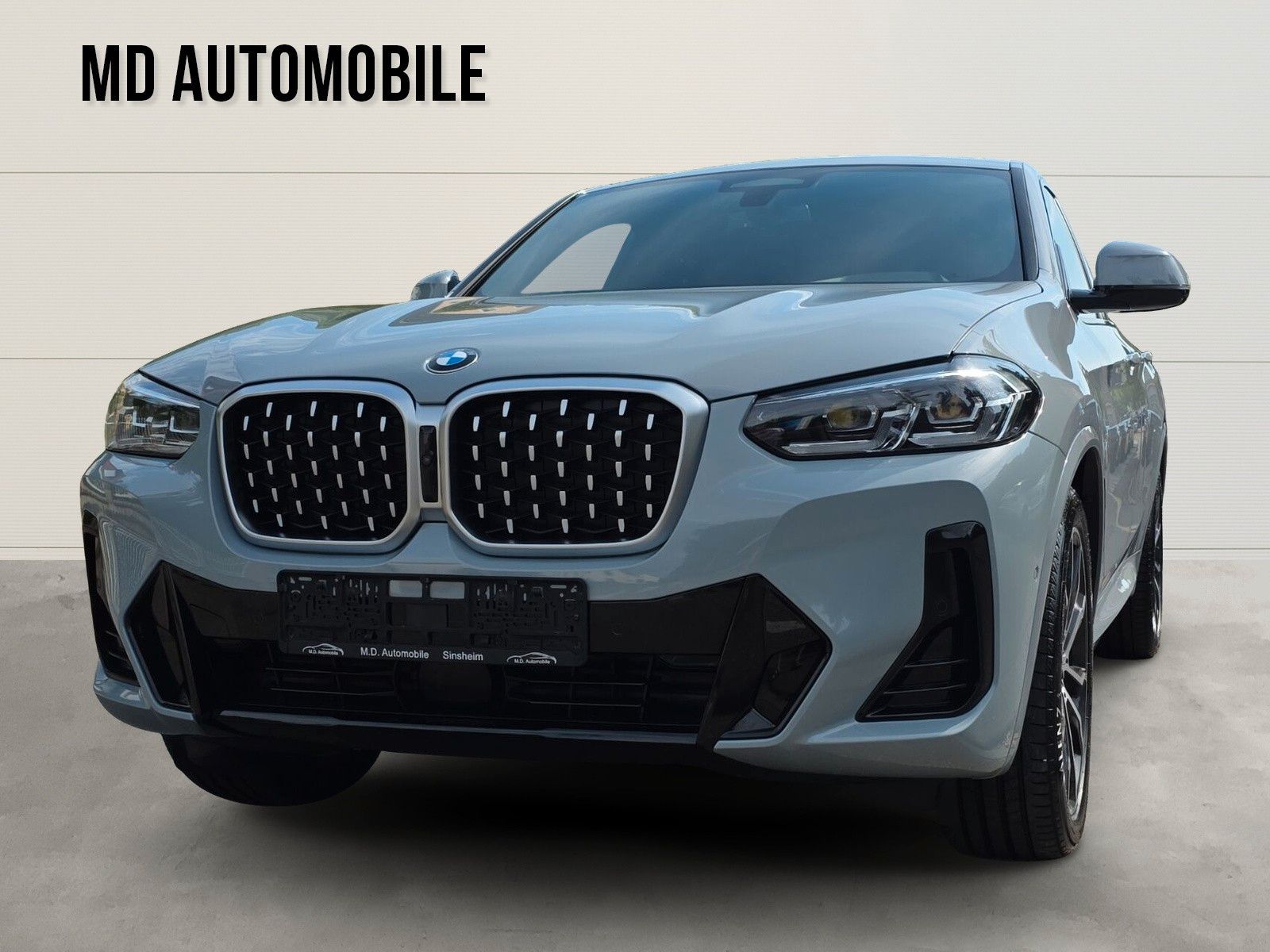 BMW X4 xDrive 30 d M Sport 360-Kamera ACC STDHZG AHG