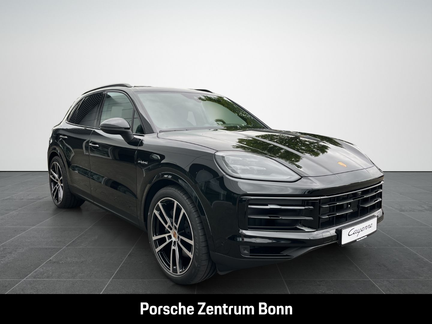 Porsche Cayenne E-Hybrid BOSE Rückfahrkamera LED-Matrix