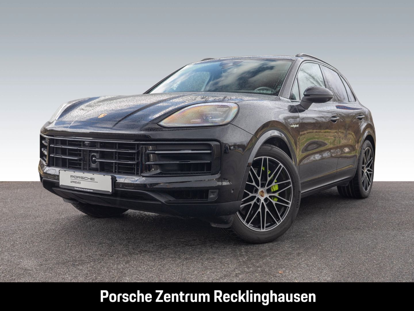 Porsche Cayenne E-Hybrid BOSE Surround-View Panoramadach