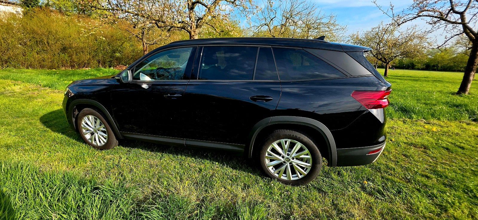 Skoda Kodiaq 2.0 TDI 142 kW 4x4 Selection *St-Hzg.*AHK
