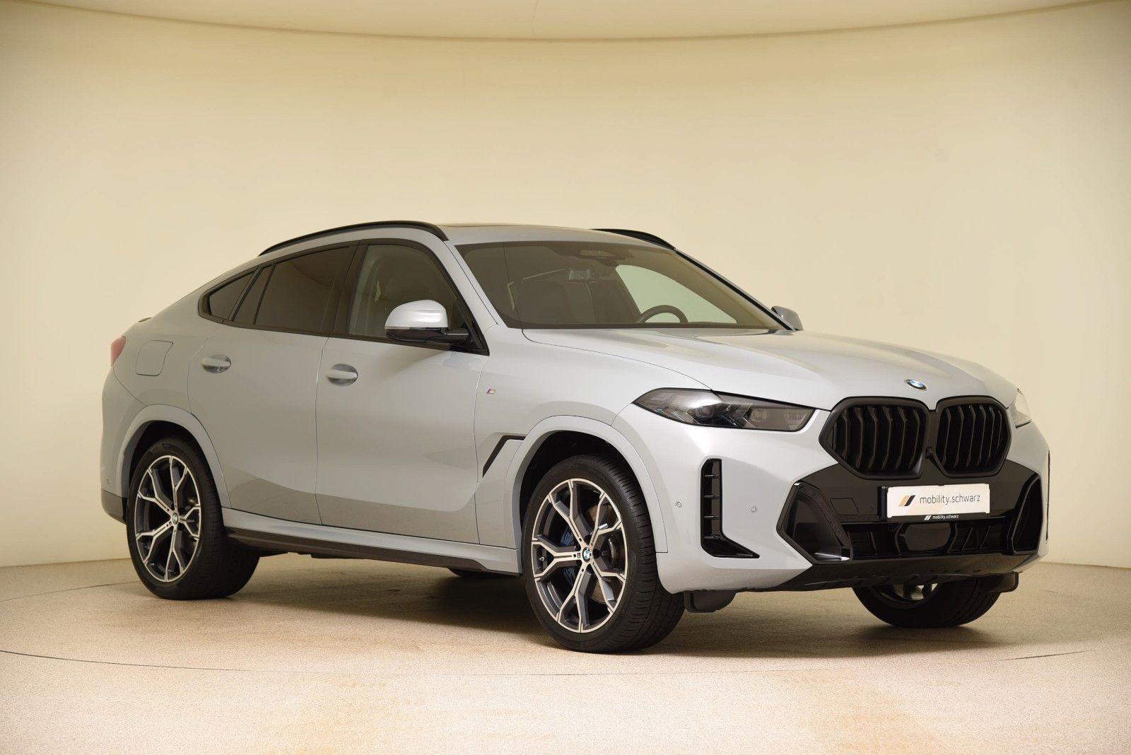 BMW X6 xDrive30d M Sport Pro Gestik Pano ACC H&K HUD