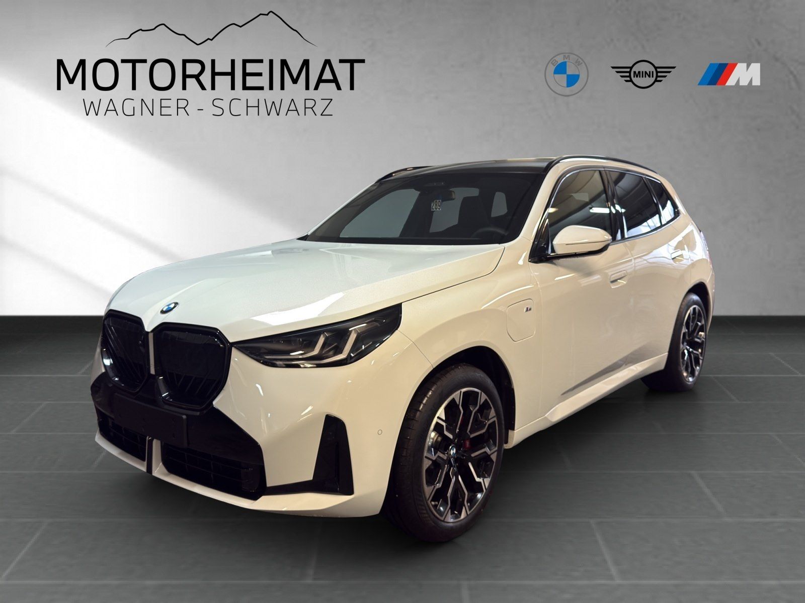 BMW X3 30e xDrive M Sport Pro HUD ACC 360°AHK