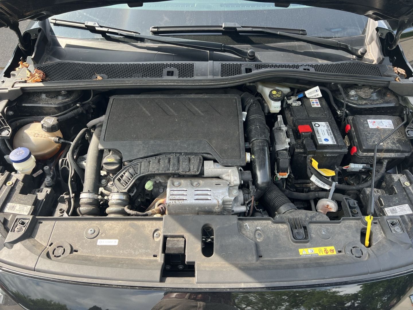 Opel Corsa Edition - Samsaru's Car Outlet