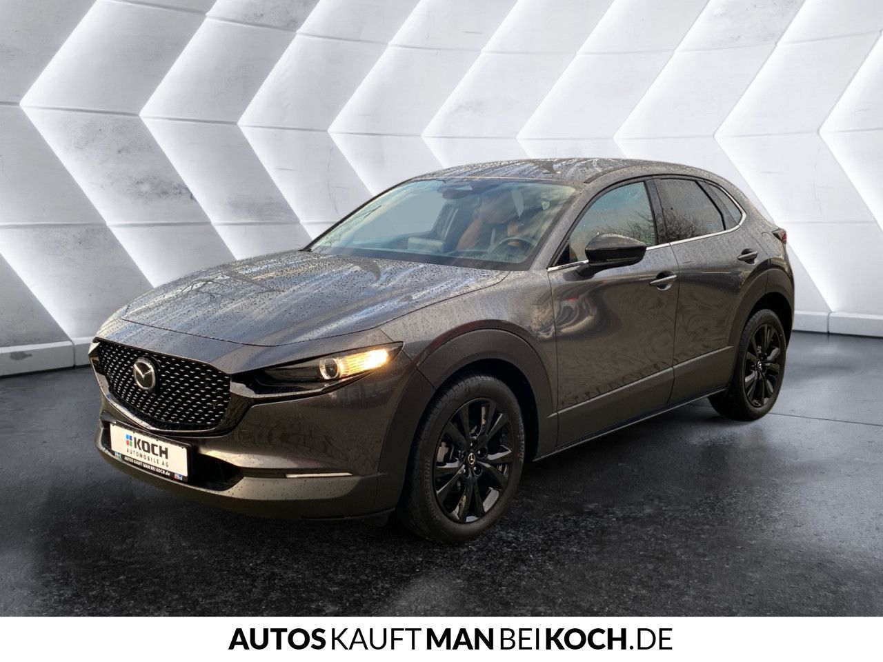 Mazda BOSE KEYLESS 18° LED KAM ACC DAB