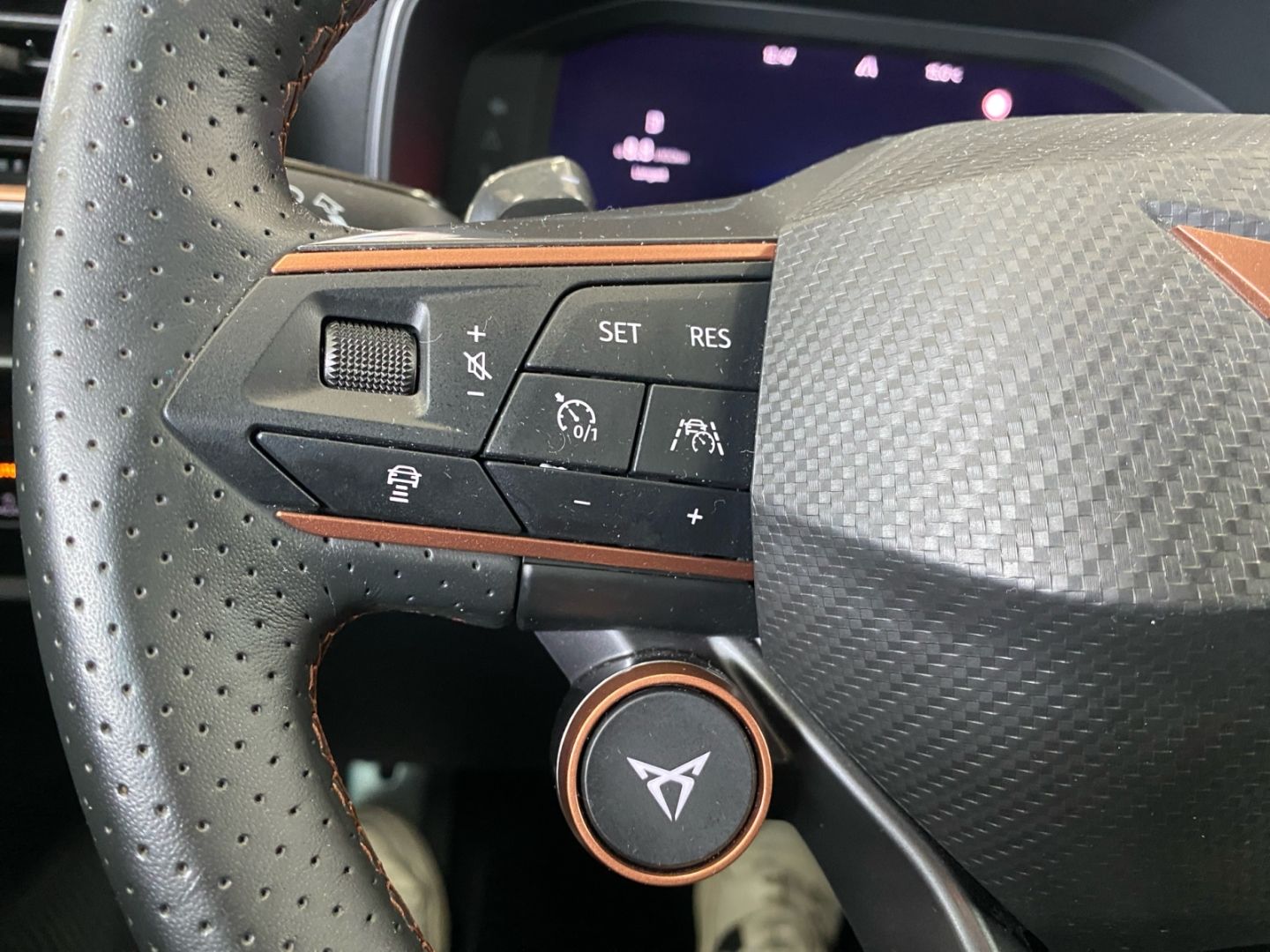 Cupra Formentor VZ 2.0 4Dr DSG *AHK*Beats*el Heck*CAM*