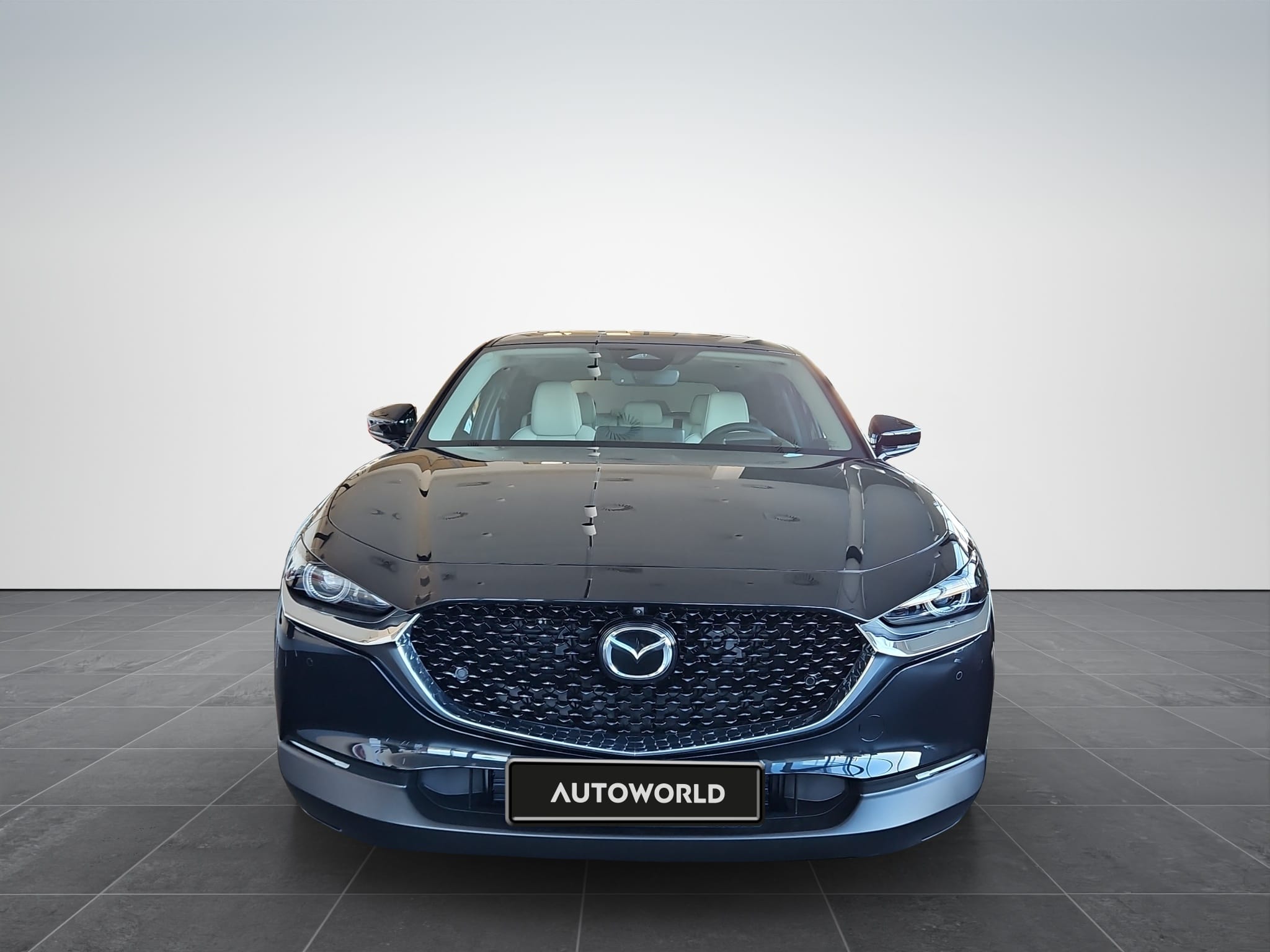 Mazda CX-30 2.0L e-SKYACTIV X 186ps 6AT AWD Takumi